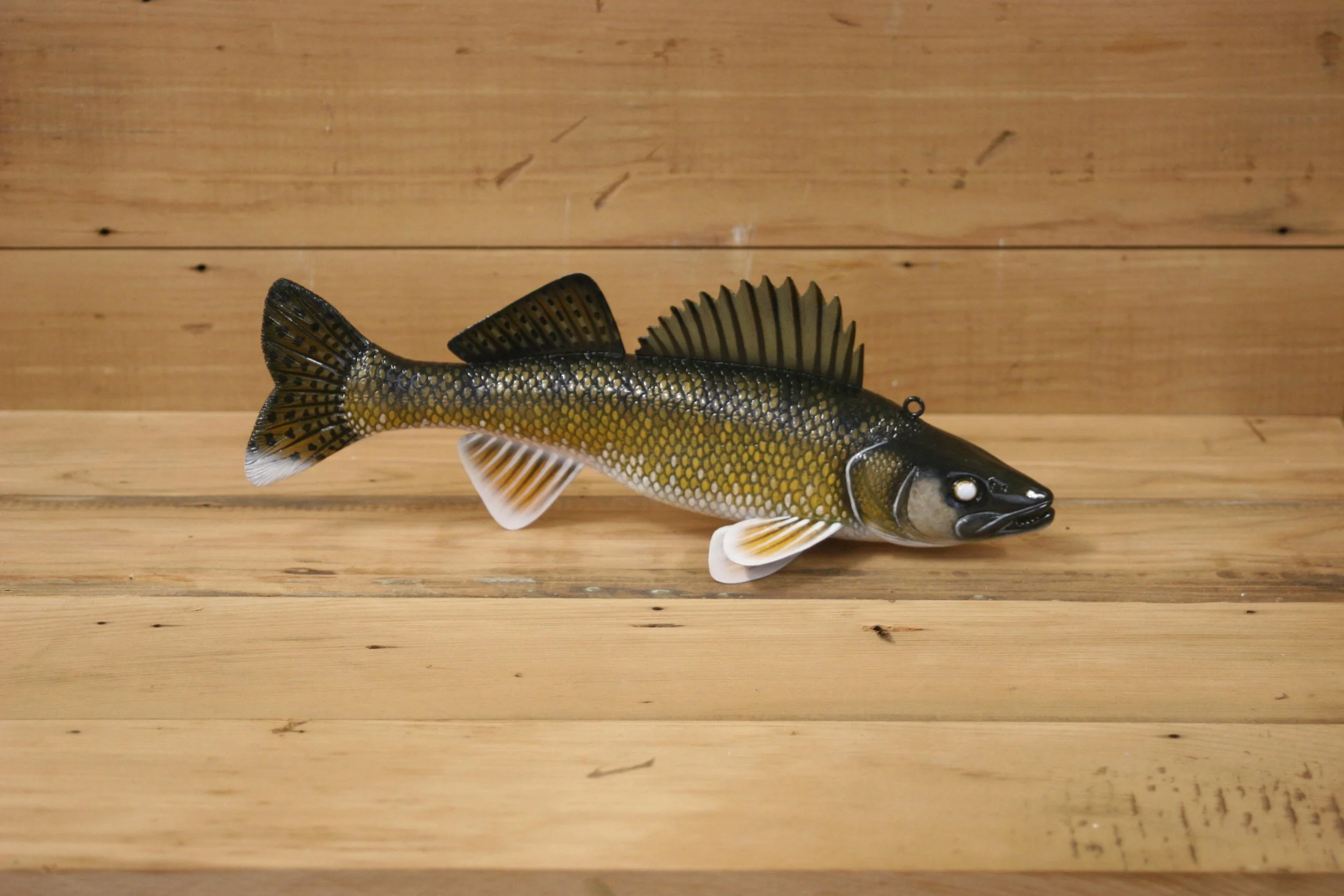 10" Walleye Jr. Division by Tony Sazama