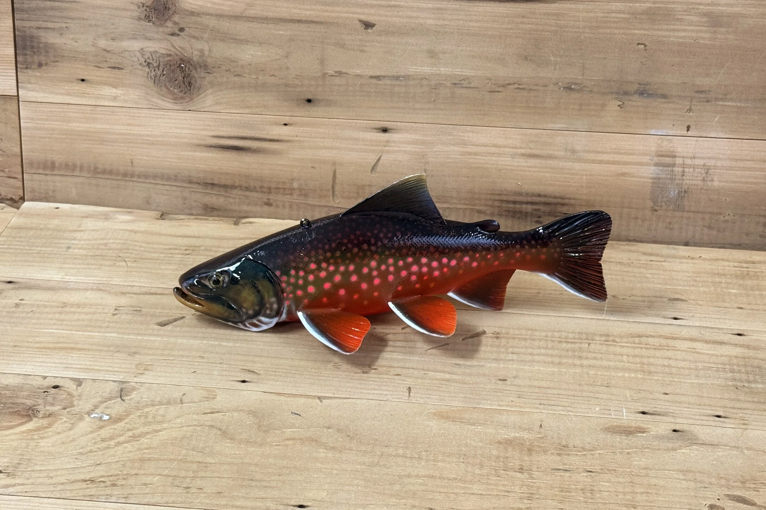 10" Arctic Char by Harley Ragan