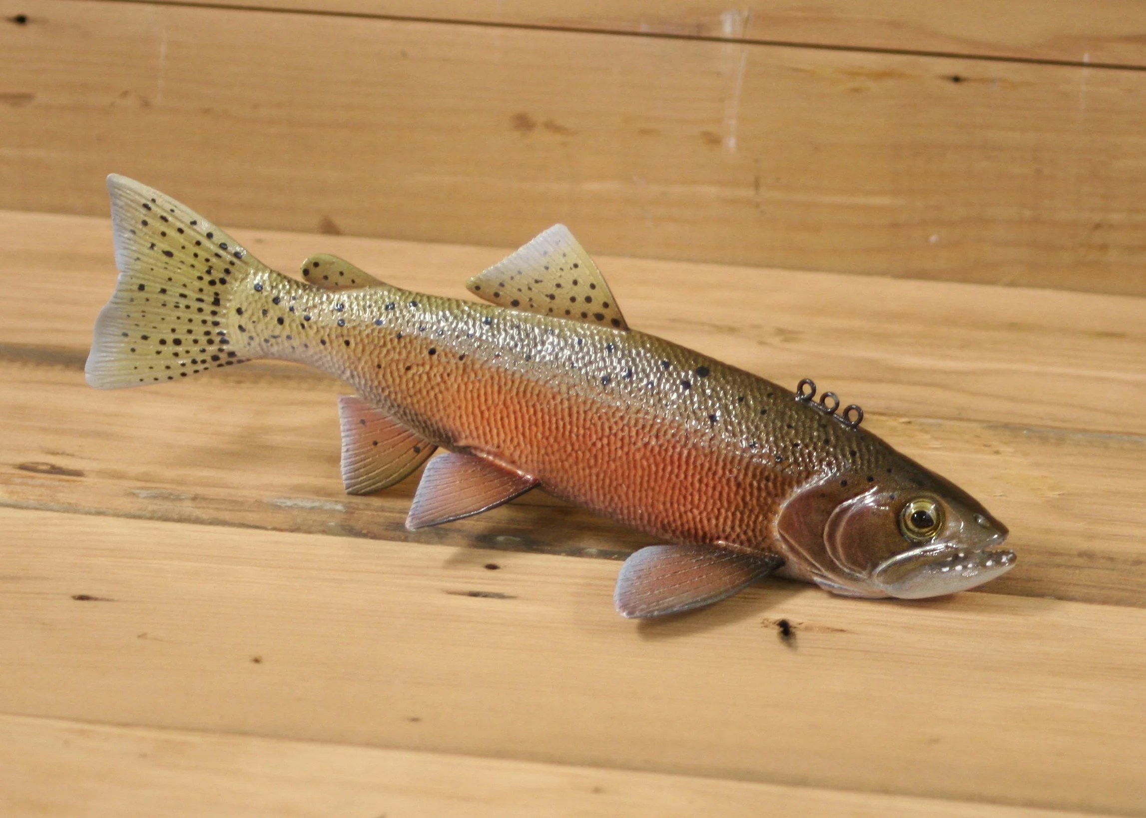 9" Cutthroat Trout by Gary Hull