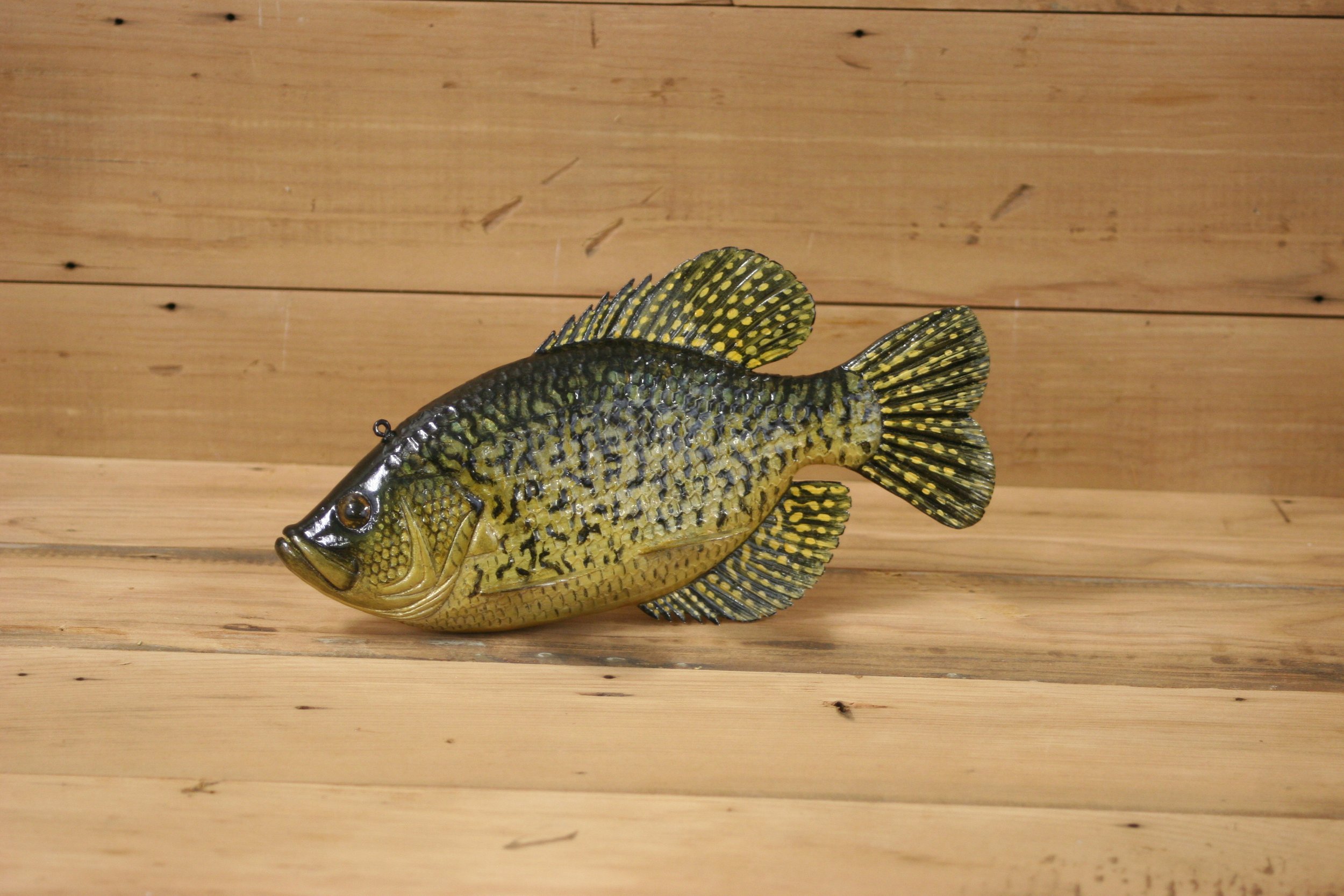 5th place: 9" Crappie by Brian Shallbetter