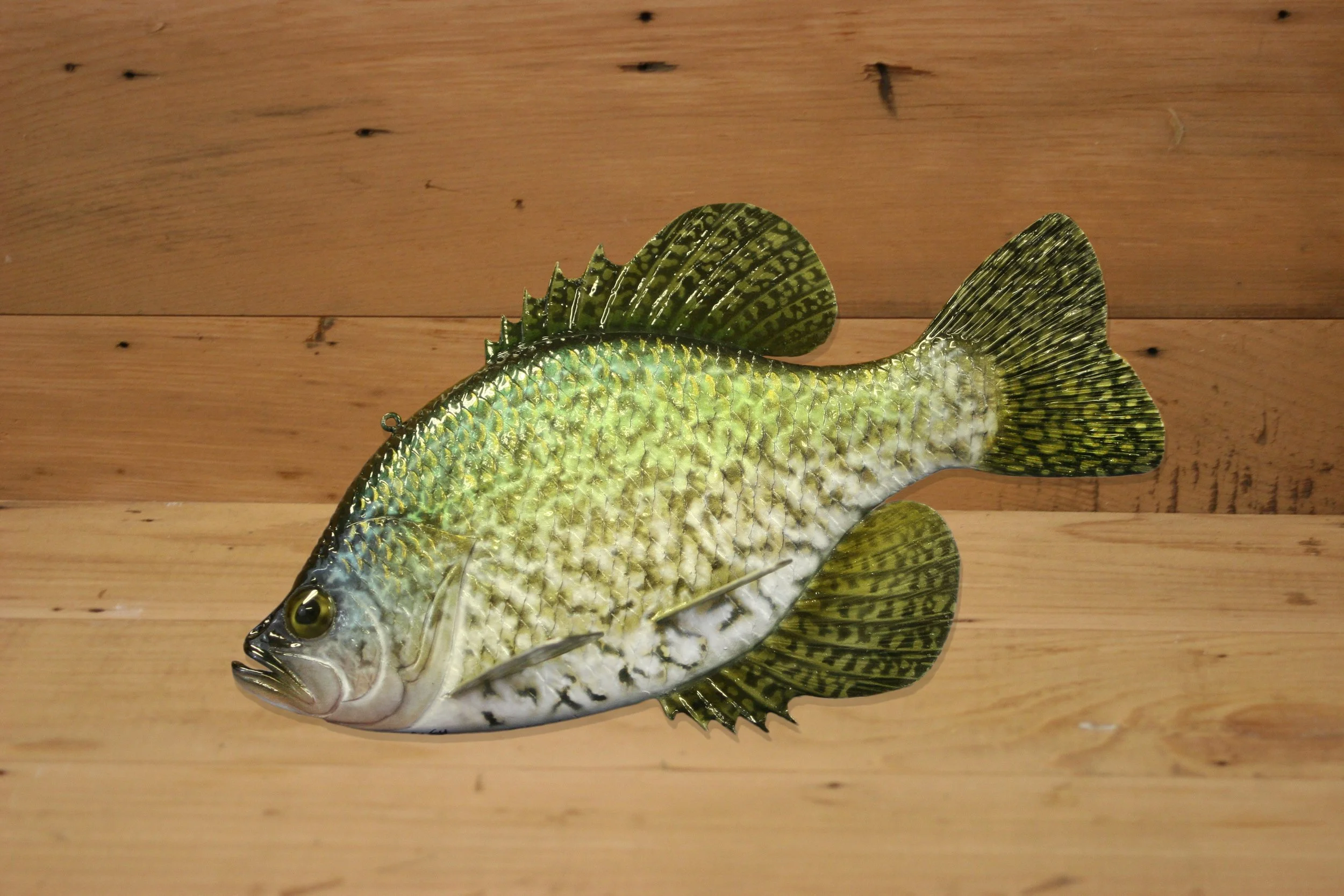 10" Black Crappie by Harley Ragan