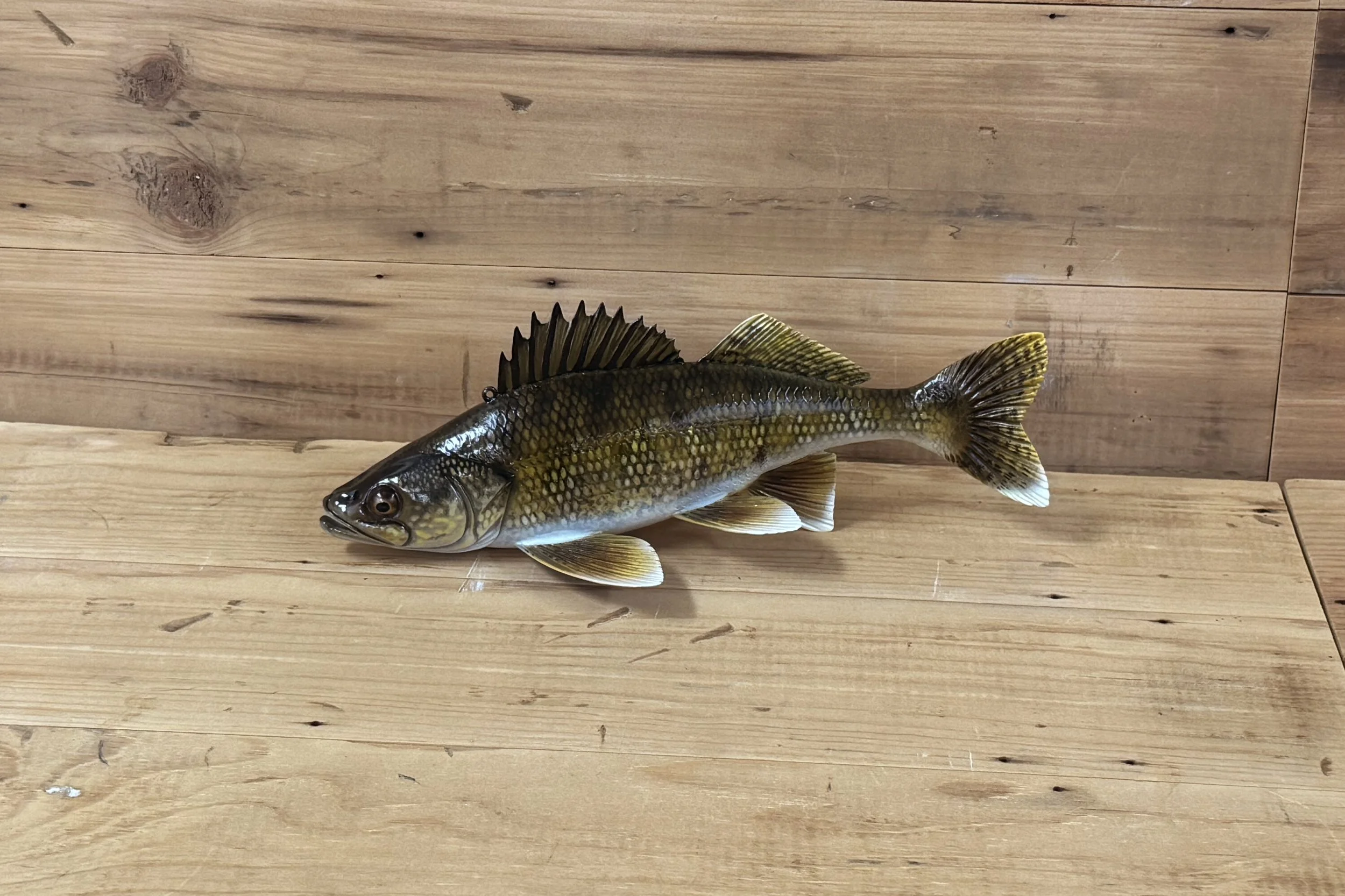 10" Walleye by Jared Sypnieski