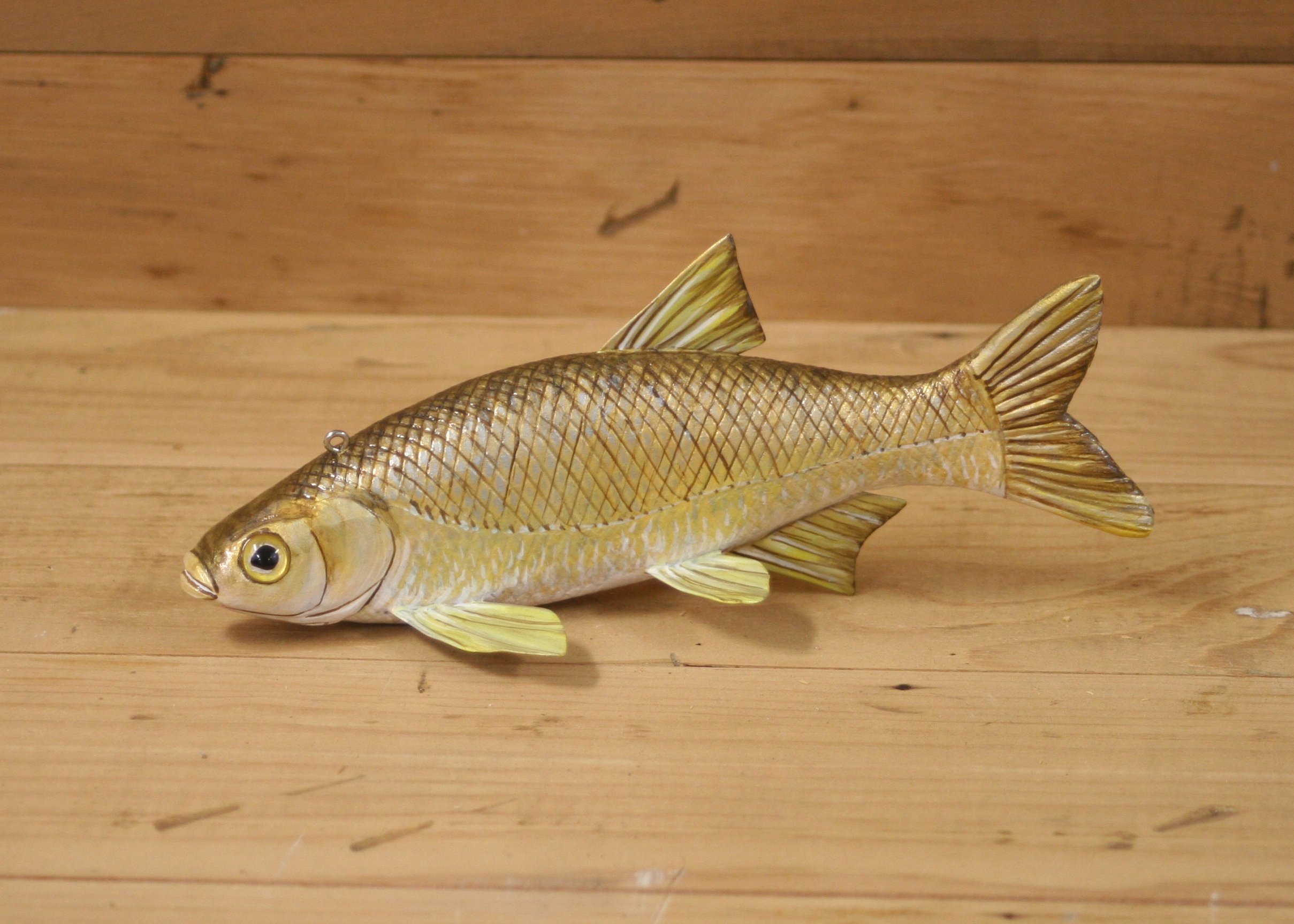 7" Hand Painted Golden Shiner by Dean Steffen