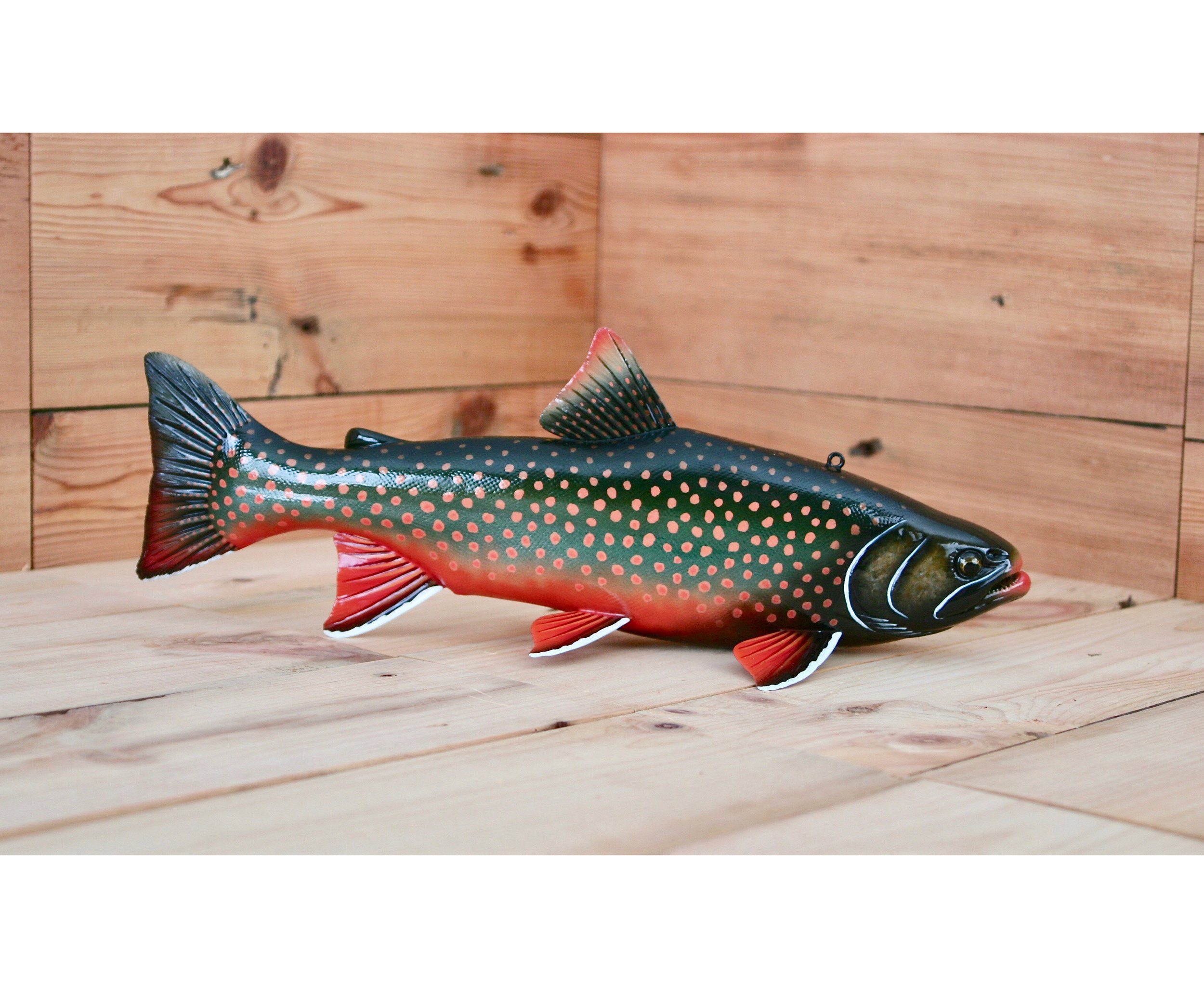 13" Breeding Male Dolly Varden by Tony Sazama