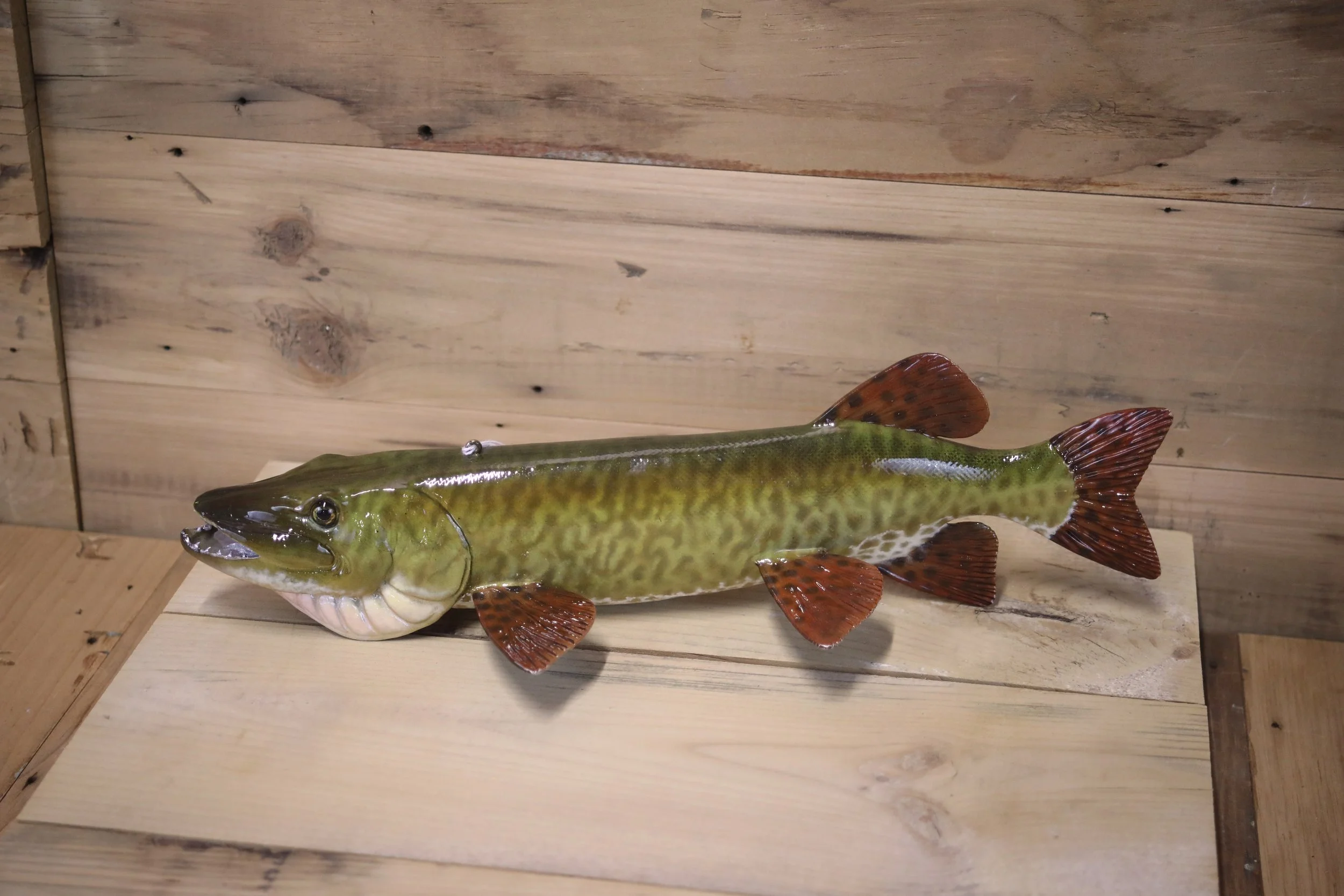 13" Muskie by Harley Ragan
