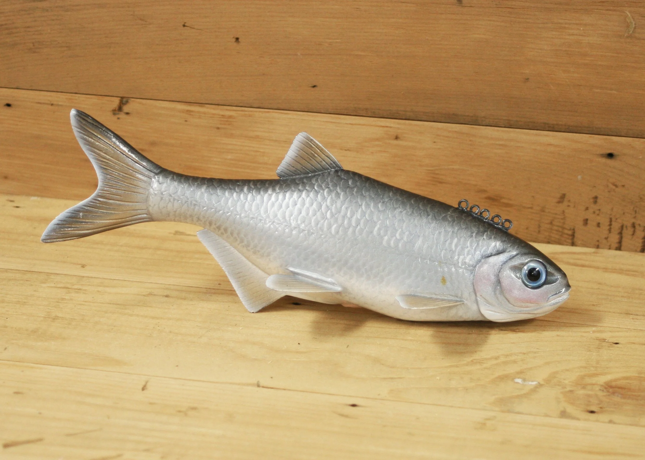 10" Mooneye by Gary Hull