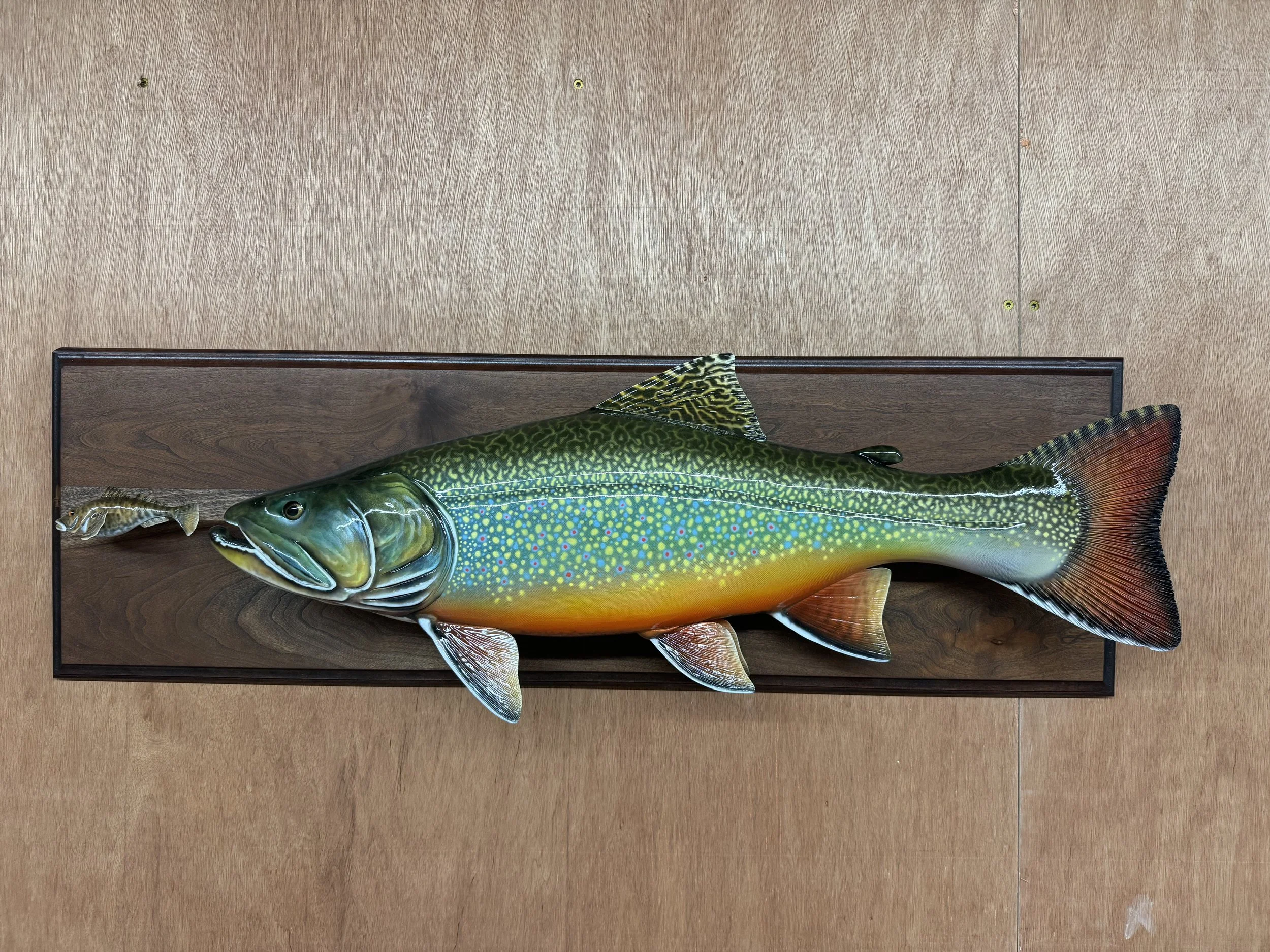 31" Showdown Brook Trout Plaque by Harley Ragan