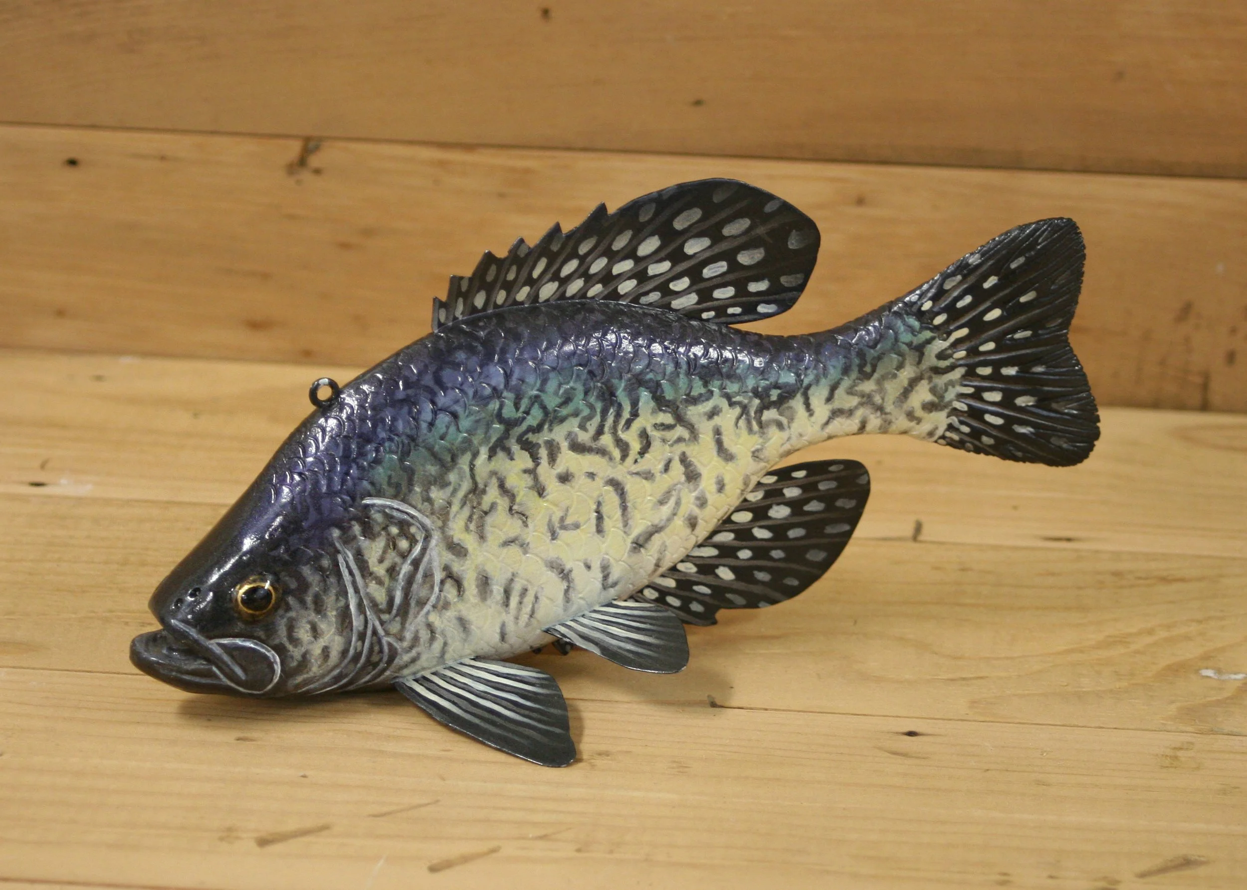 9" Crappie Jr. Division by Kimberly Harlow