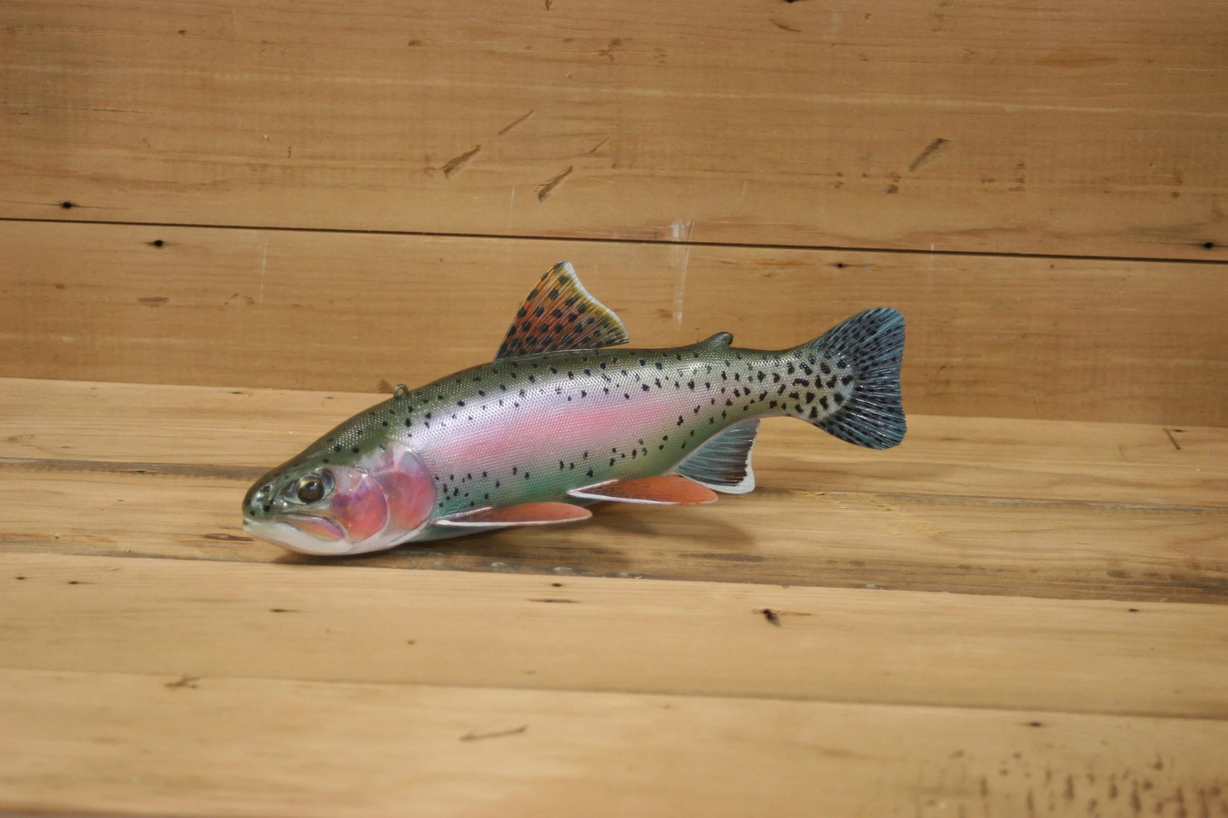 4th place: 10" Rainbow Trout by Harley Ragan
