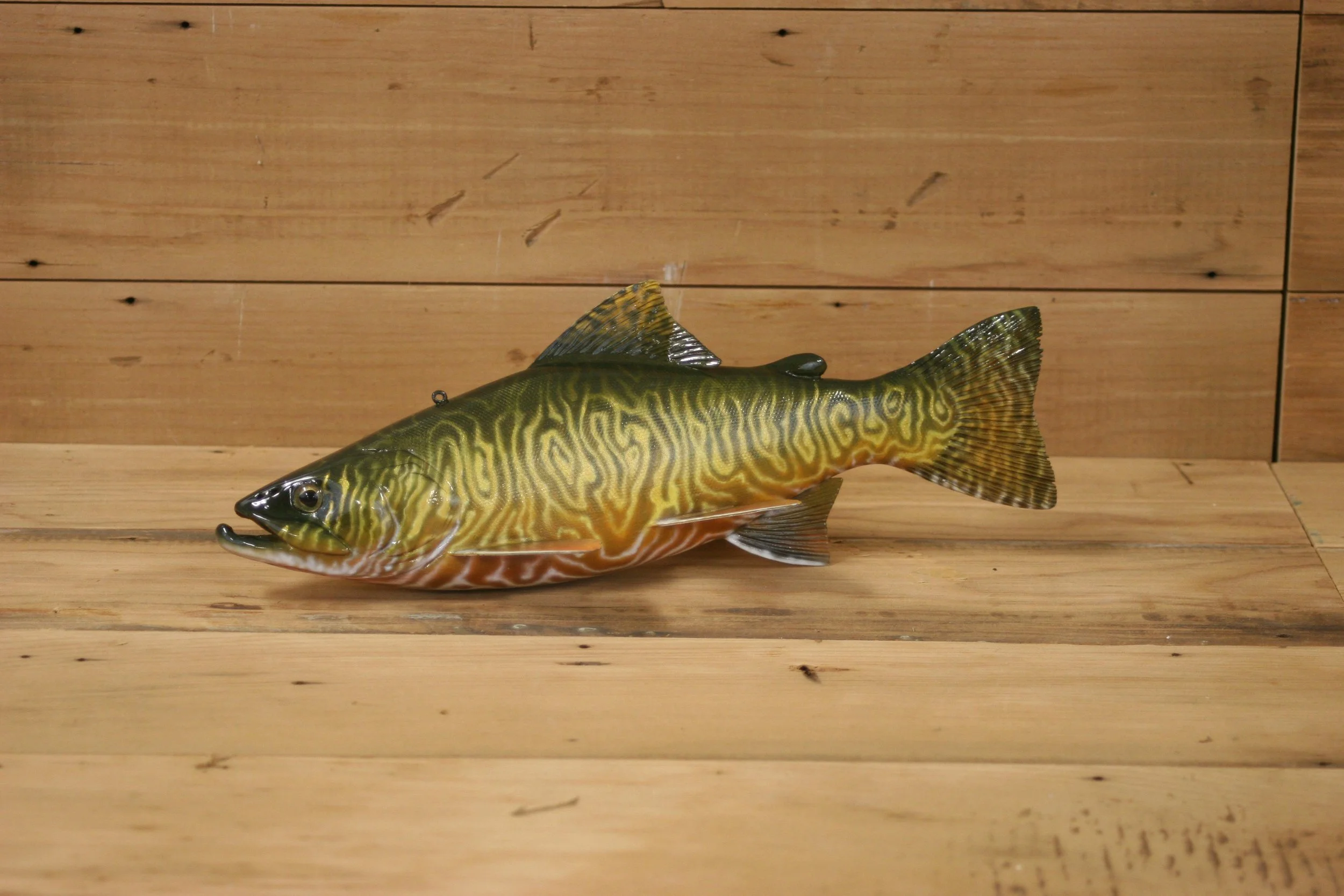 11" Tiger Trout by Harley Ragan