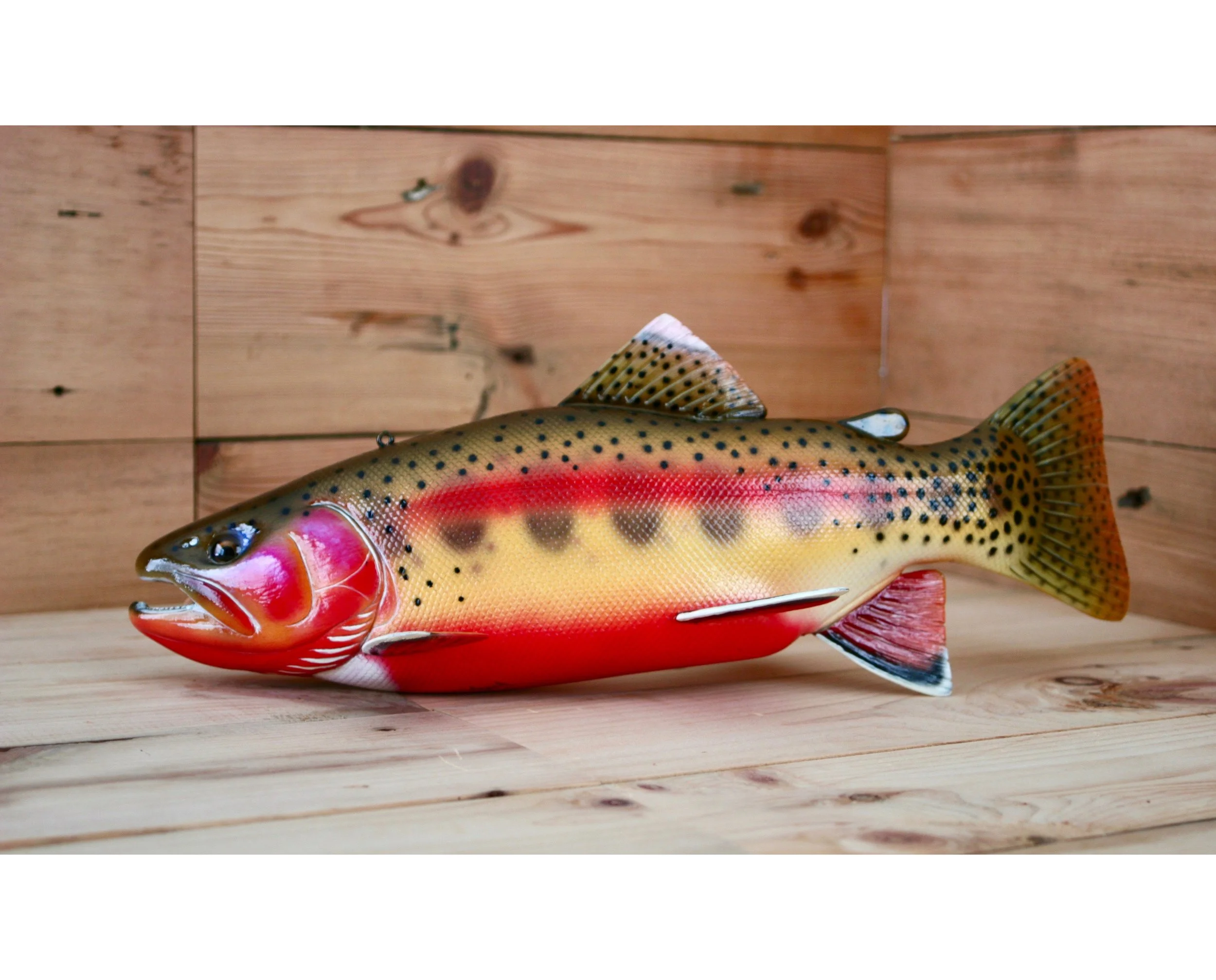 14" Breeding Male Golden Trout by Kerry Wolgast