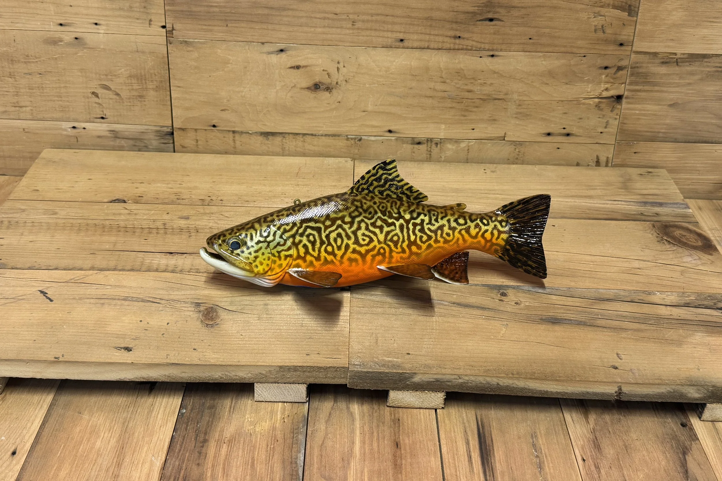 12" Tiger Trout by Harley Ragan