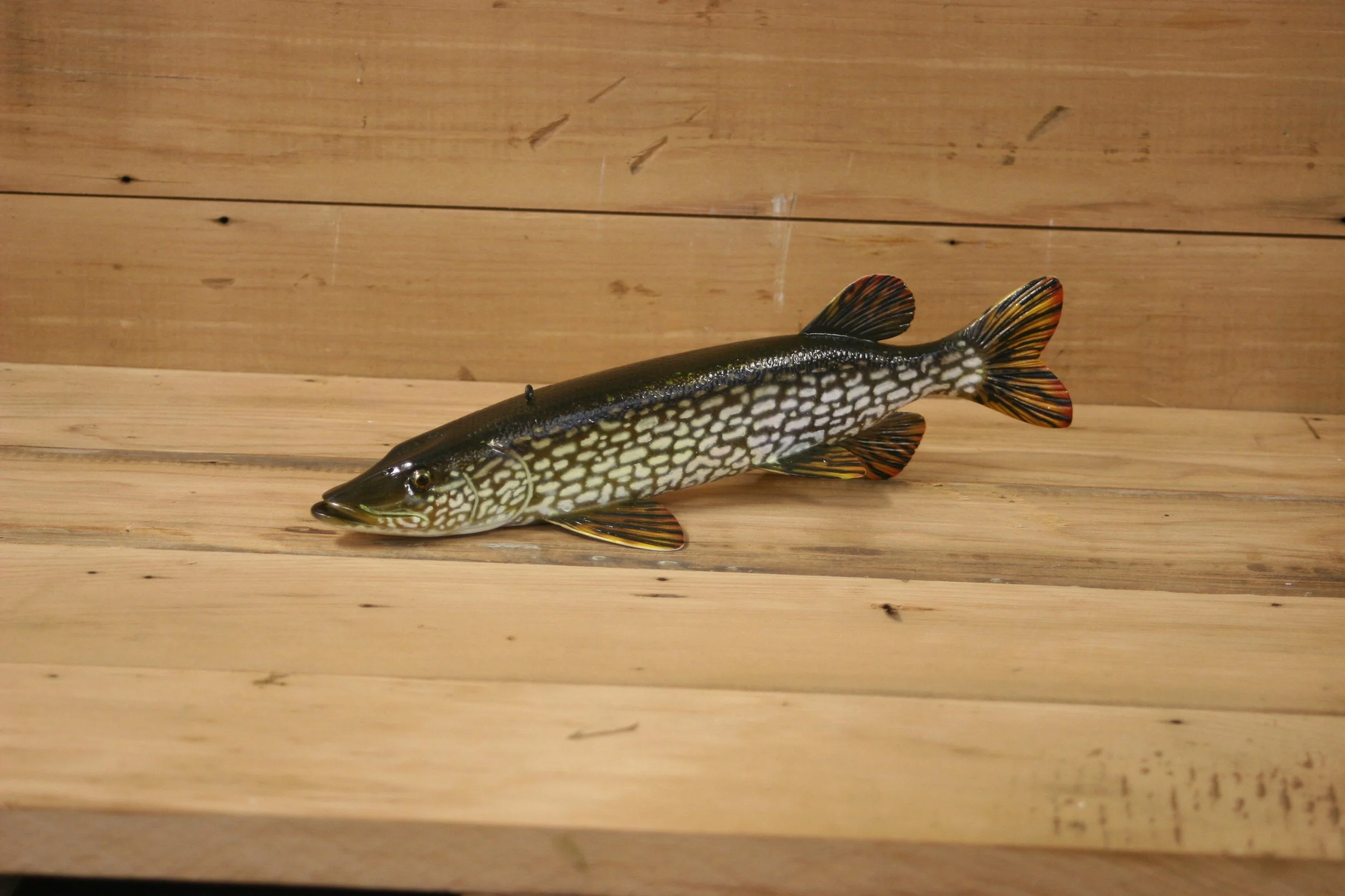 3rd Place: 10" Airbrush Northern Pike by Jared Sypnieski