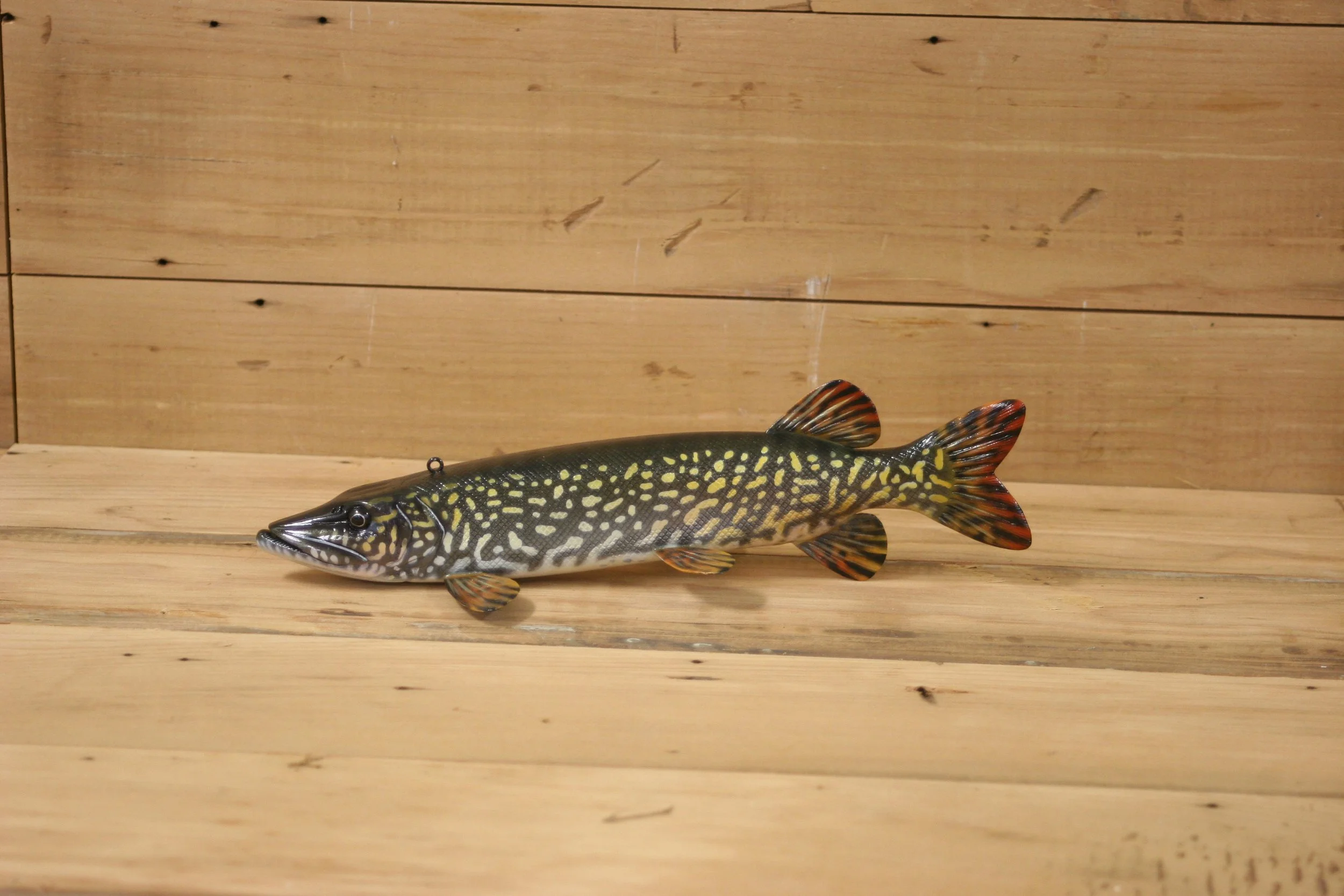 2nd Place: 10" Airbrush Northern Pike by Jacob Sazama