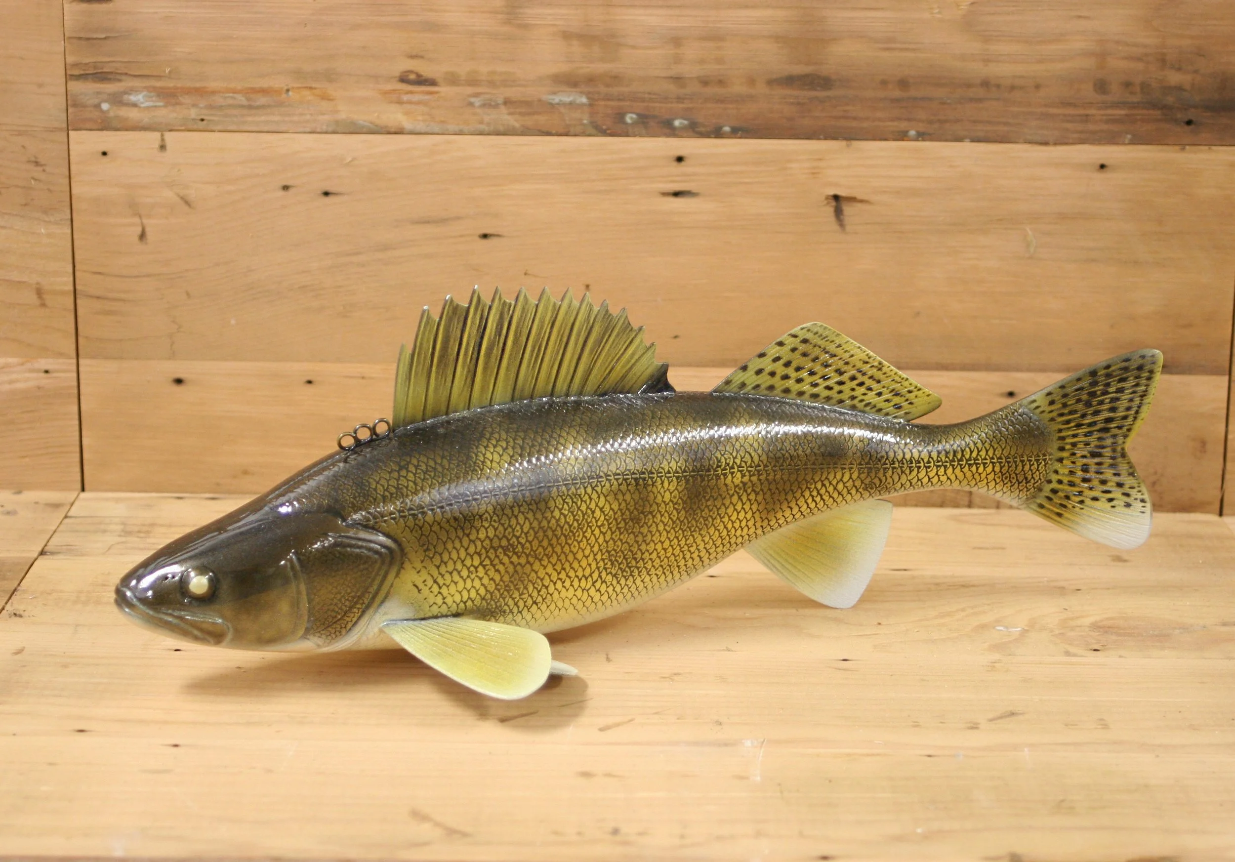 16" Airbrush Walleye by John Pususta