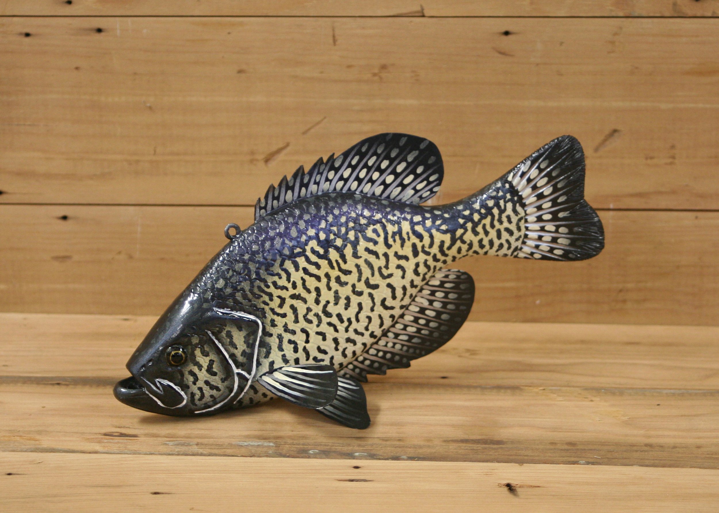 10" Crappie Jr. Division by Tony Sazama