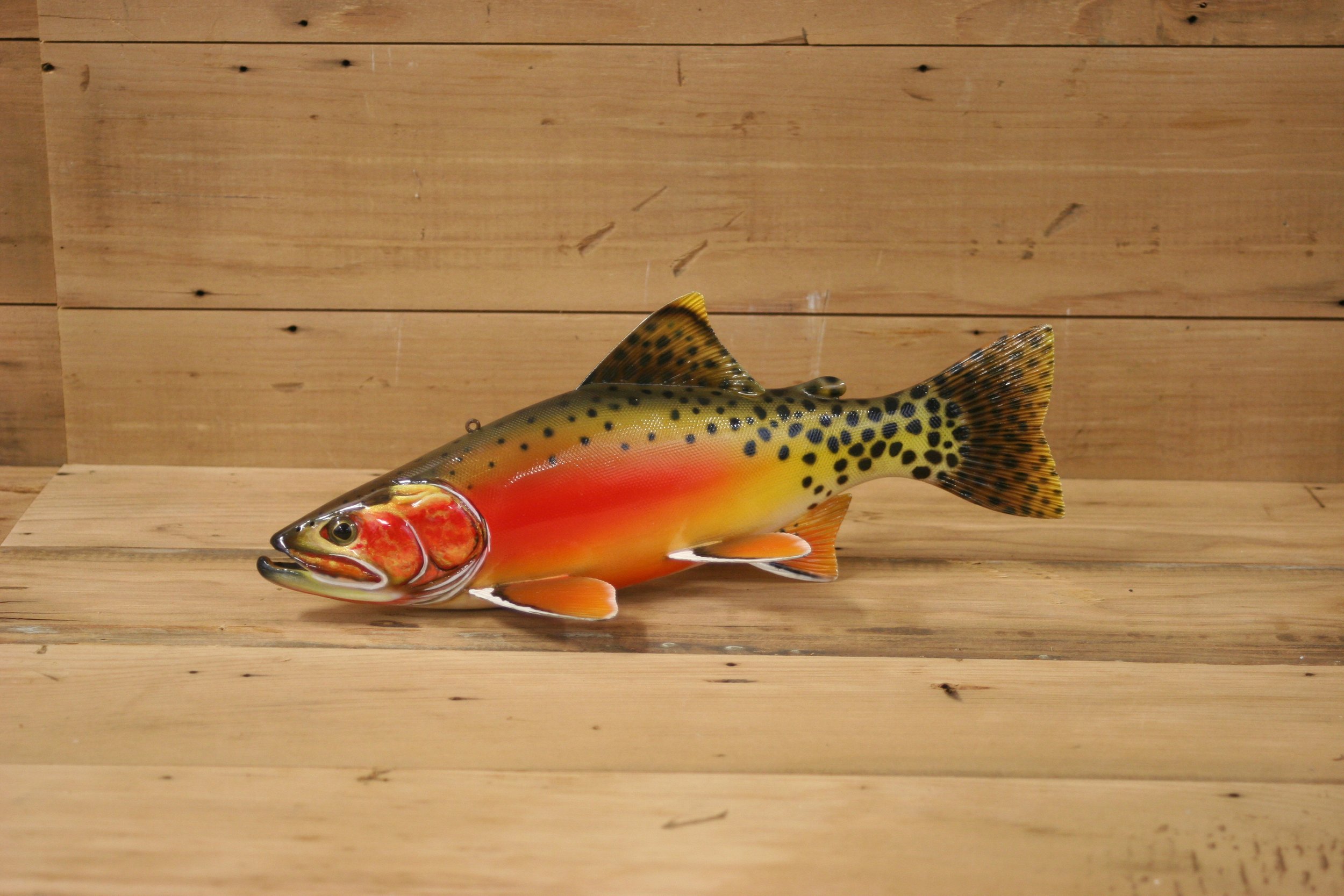 11" Airbrush Cutthroat Trout by Harley Ragan