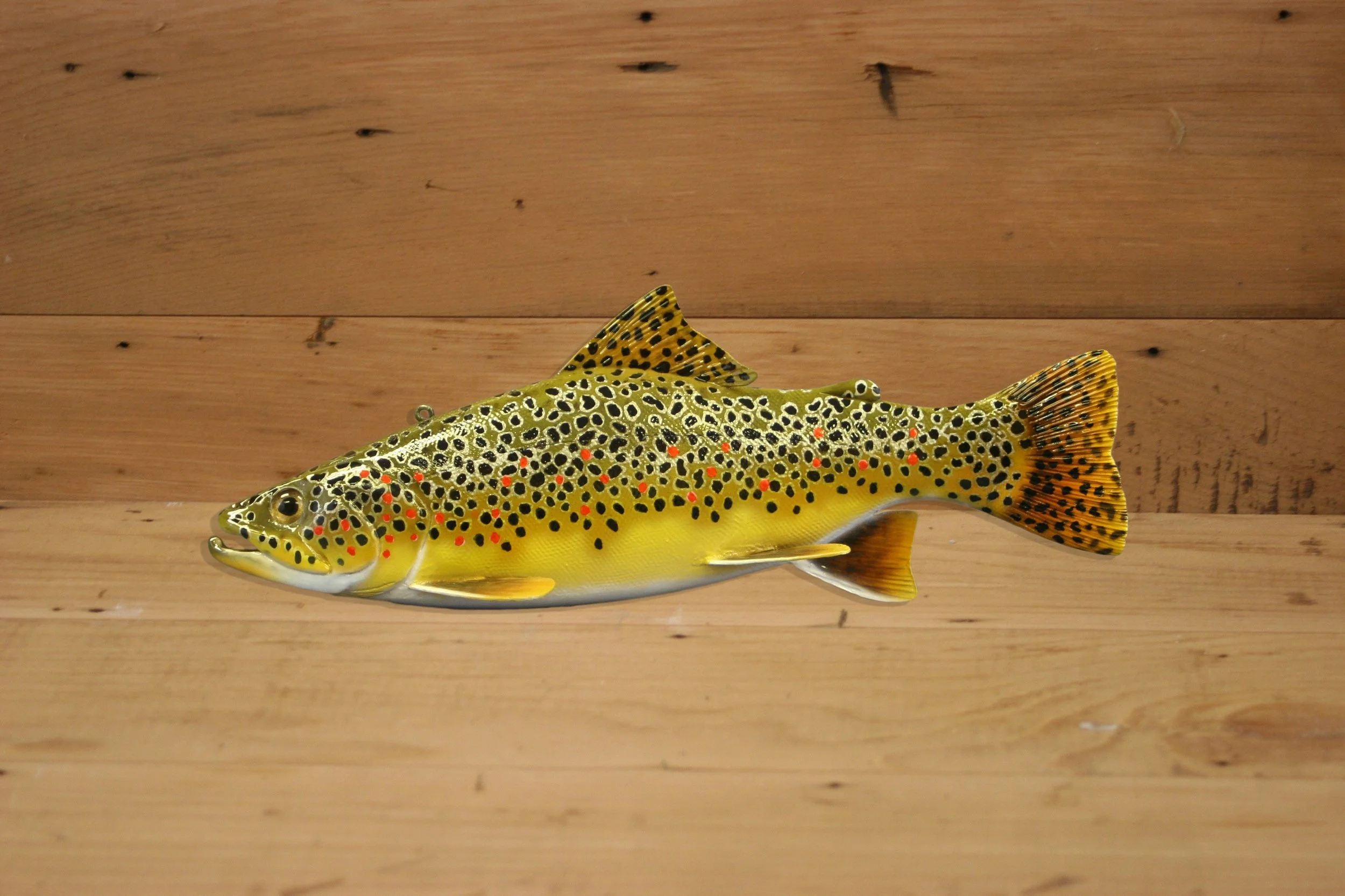 10" Brown Trout by Harley Ragan