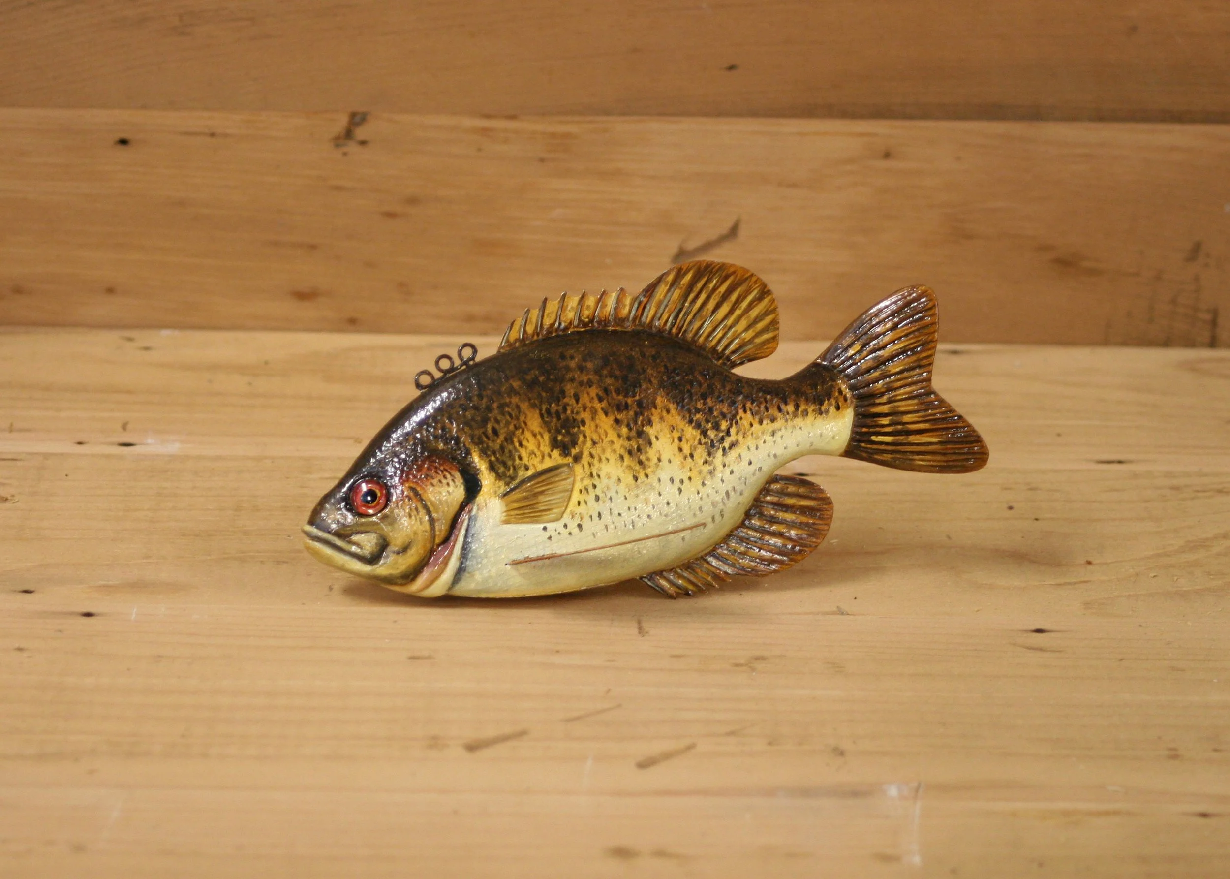 6" Hand Painted Rock Bass by Bob Johnson