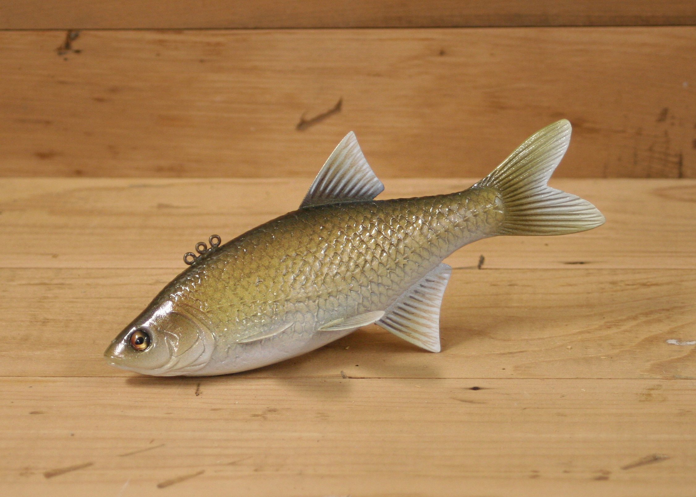 7" Airbrush Golden Shiner by Bob Johnson