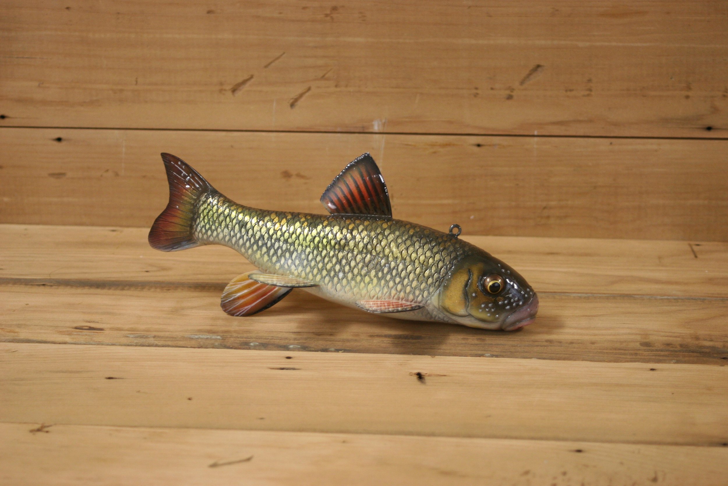 3rd place: 9" Sucker Todd Schulze