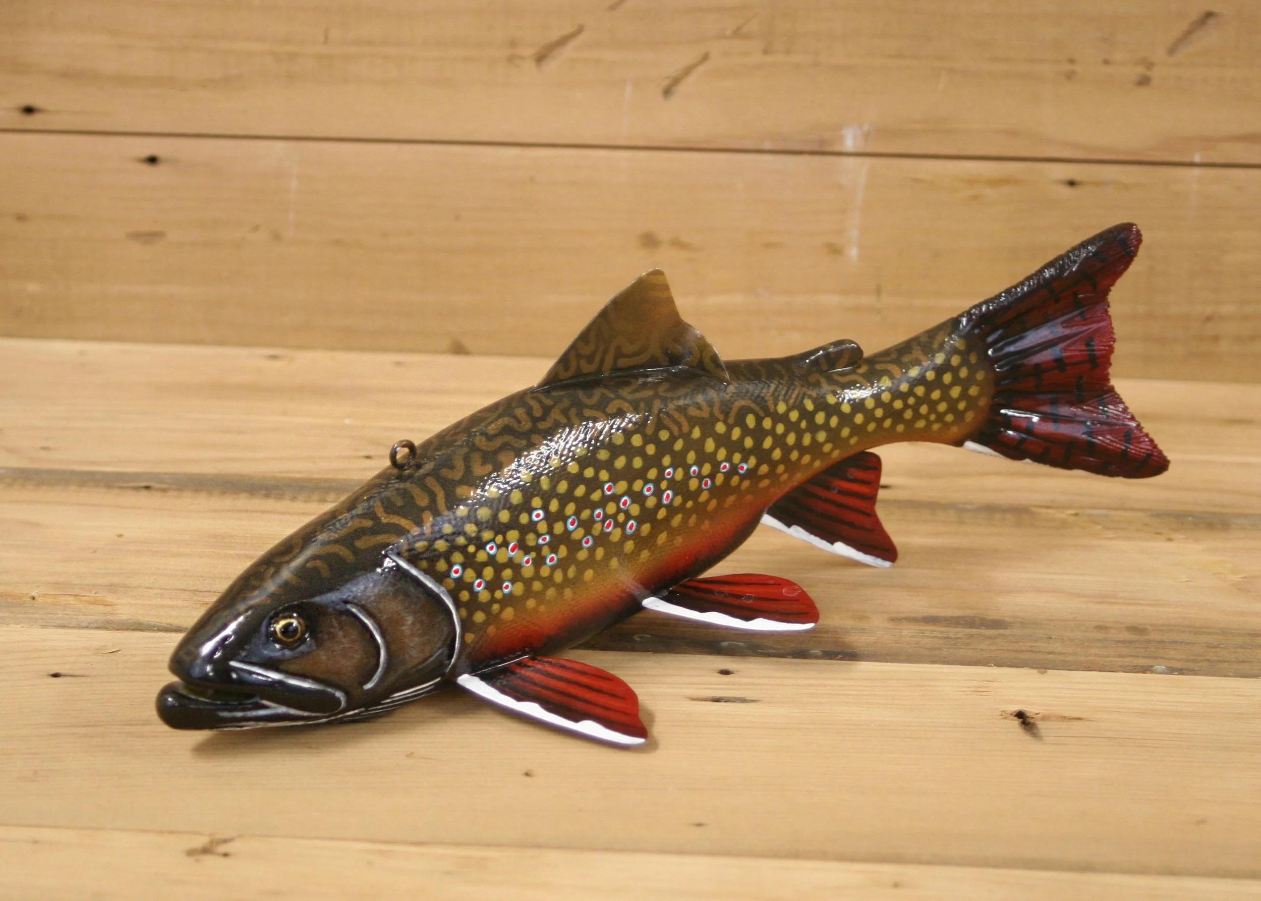 11" Brook Trout Jr. Division by Tony Sazama