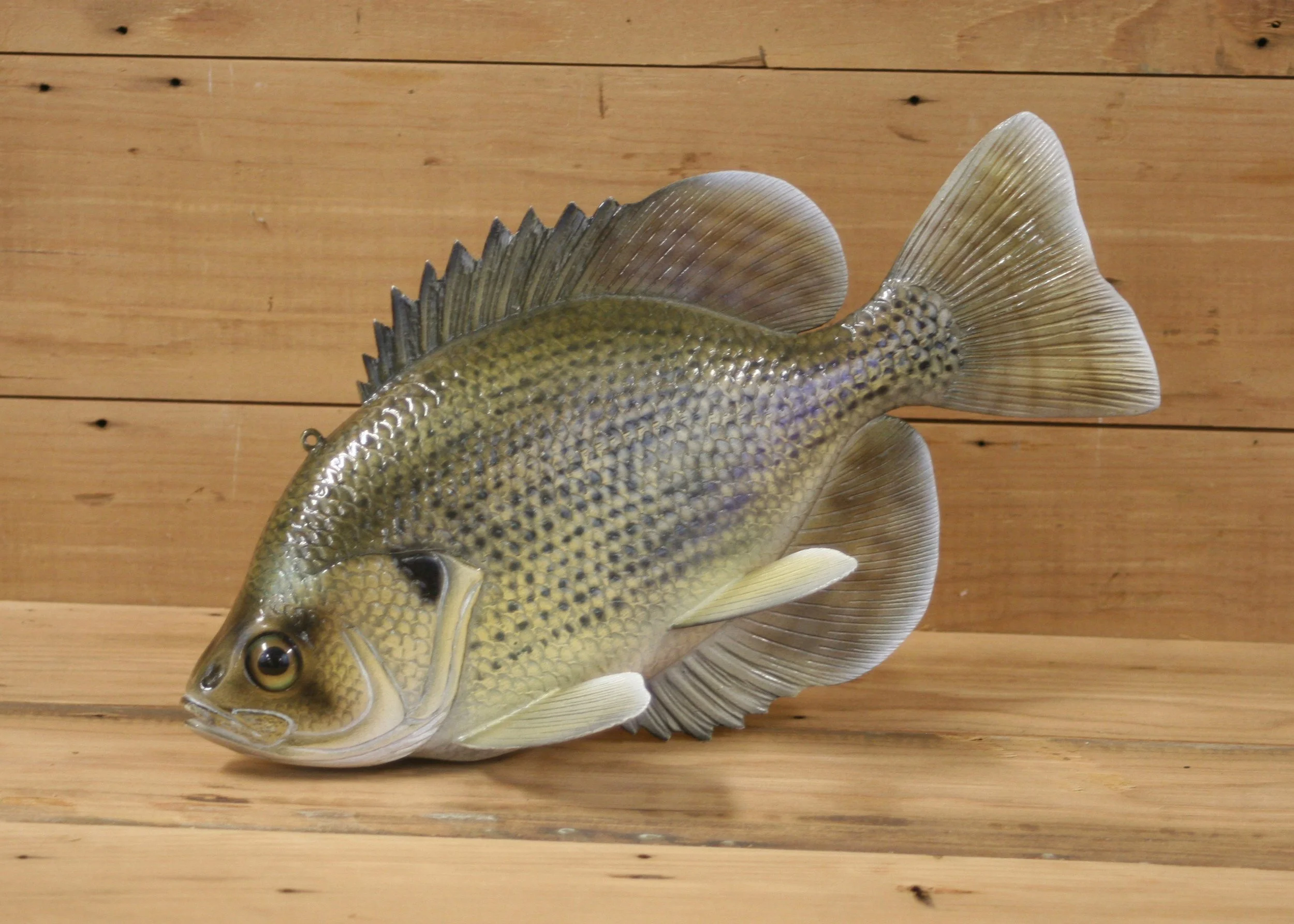 11" Airbrush Flier by Gary Hull