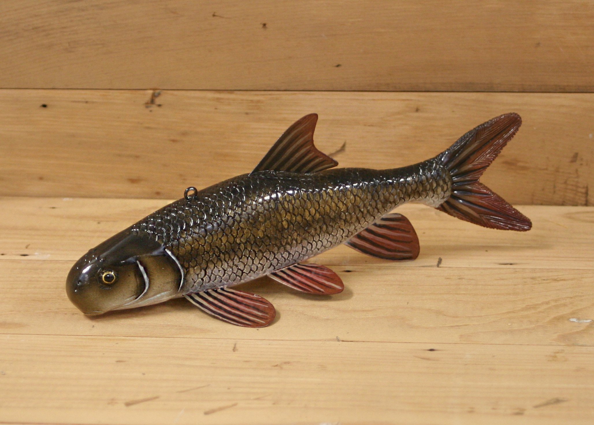 9" Redtail Chub Jr. Division by Tony Sazama