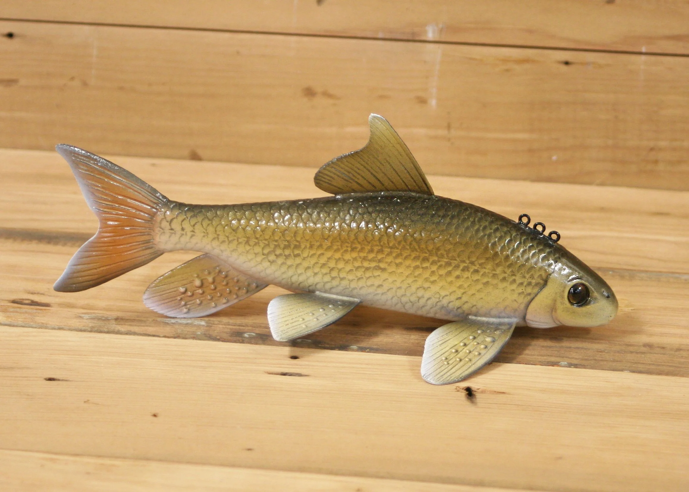 9" Sucker by Gary Hull