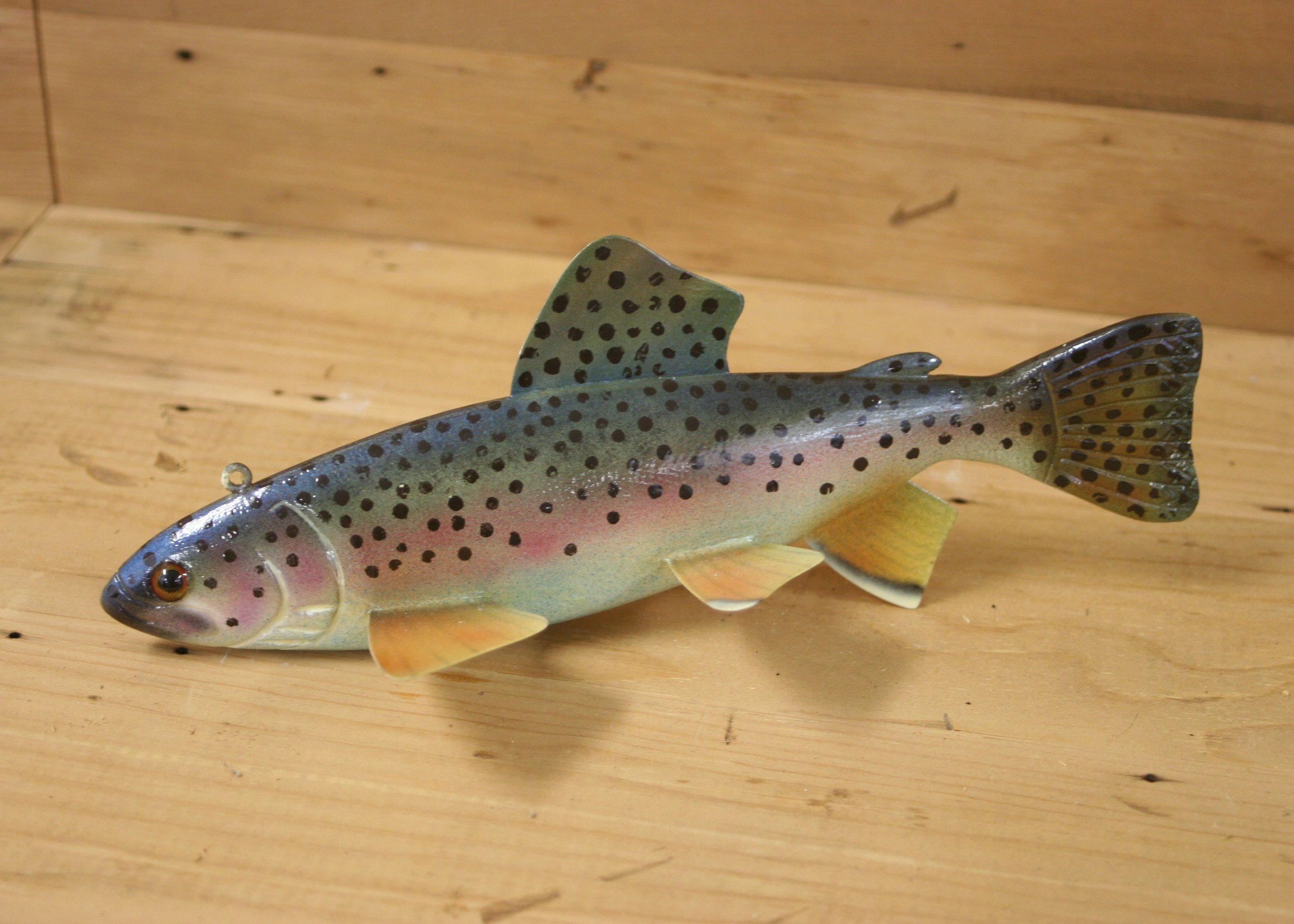 10" Rainbow Trout Jr. Division by Brook Houtari