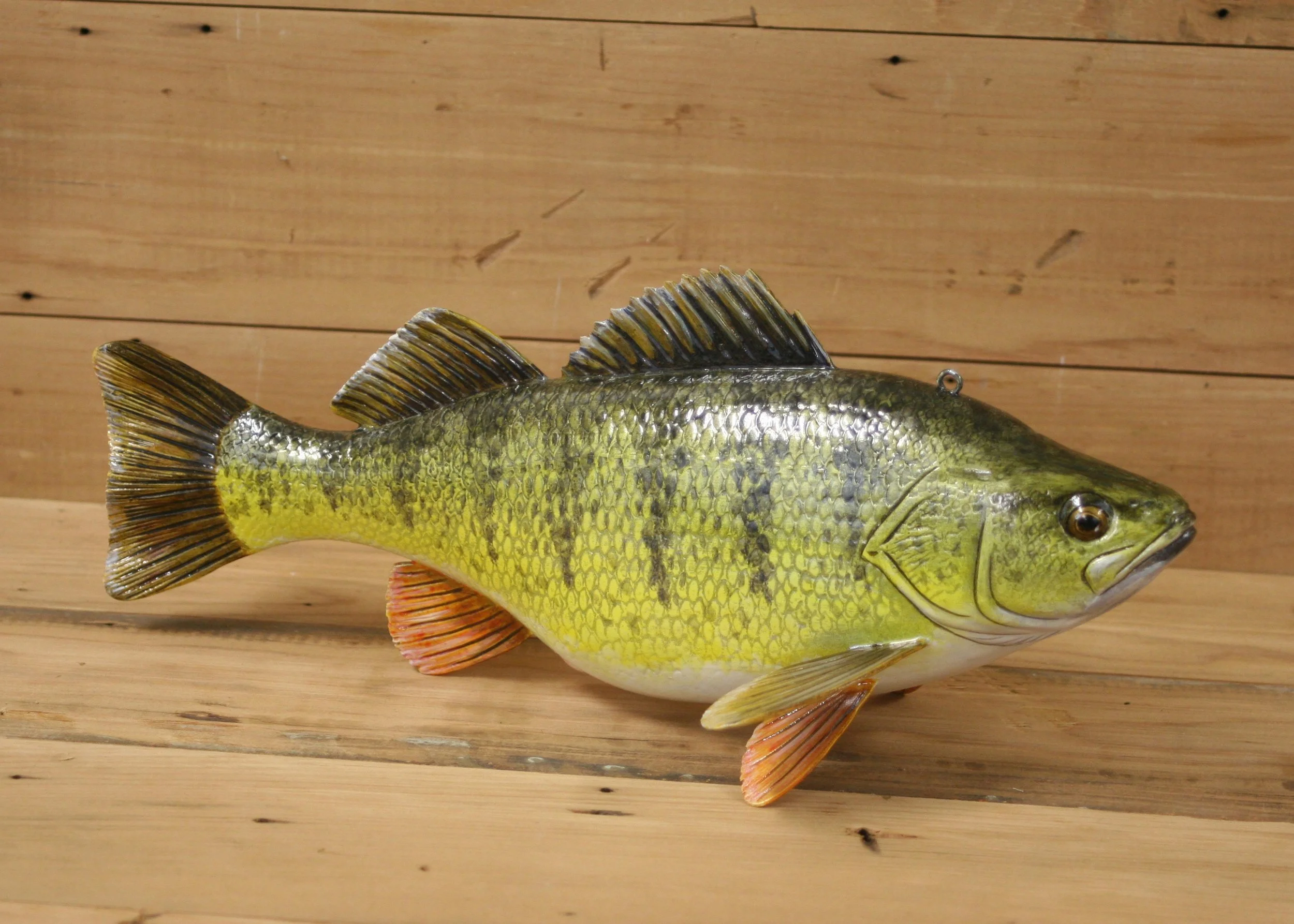 12" Hand Painted Yellow Perch by Bob Johnson