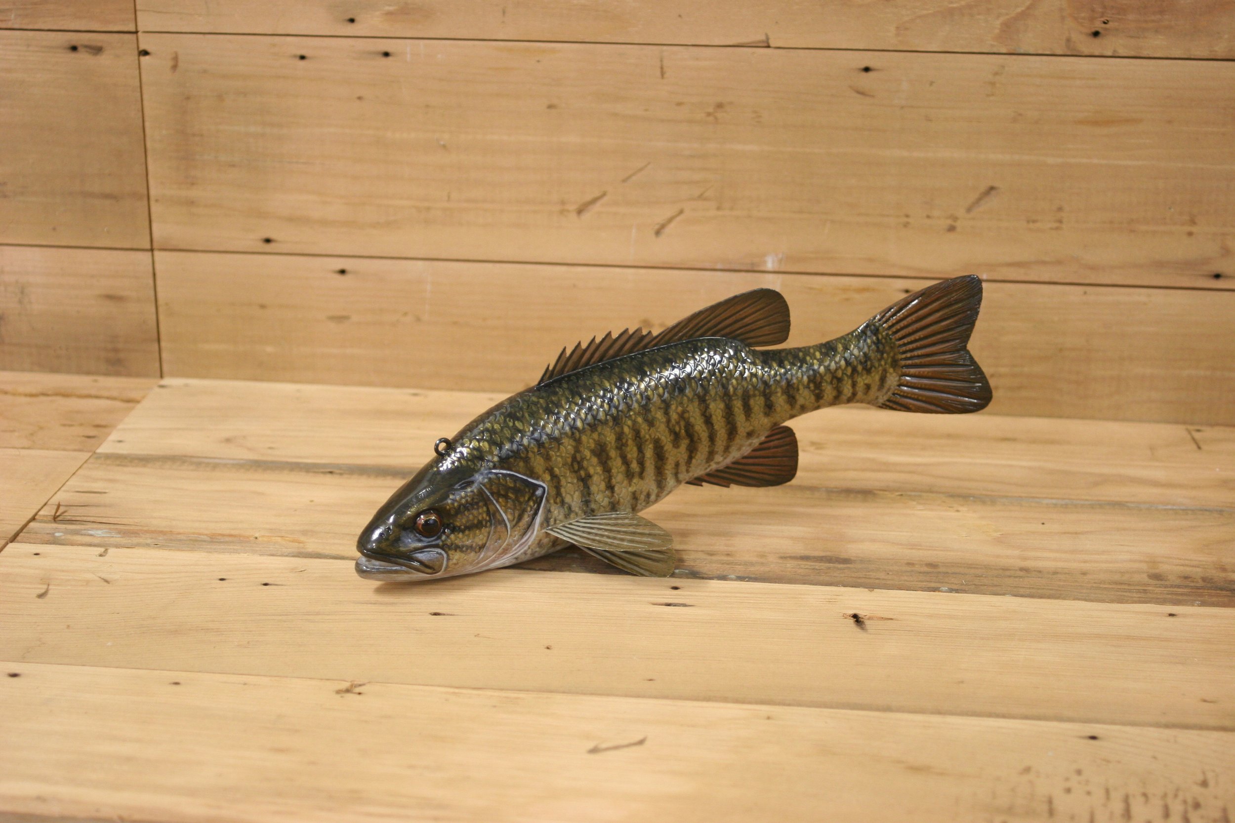 11" Hand Painted Smallmouth Bass by Jacob Sazama