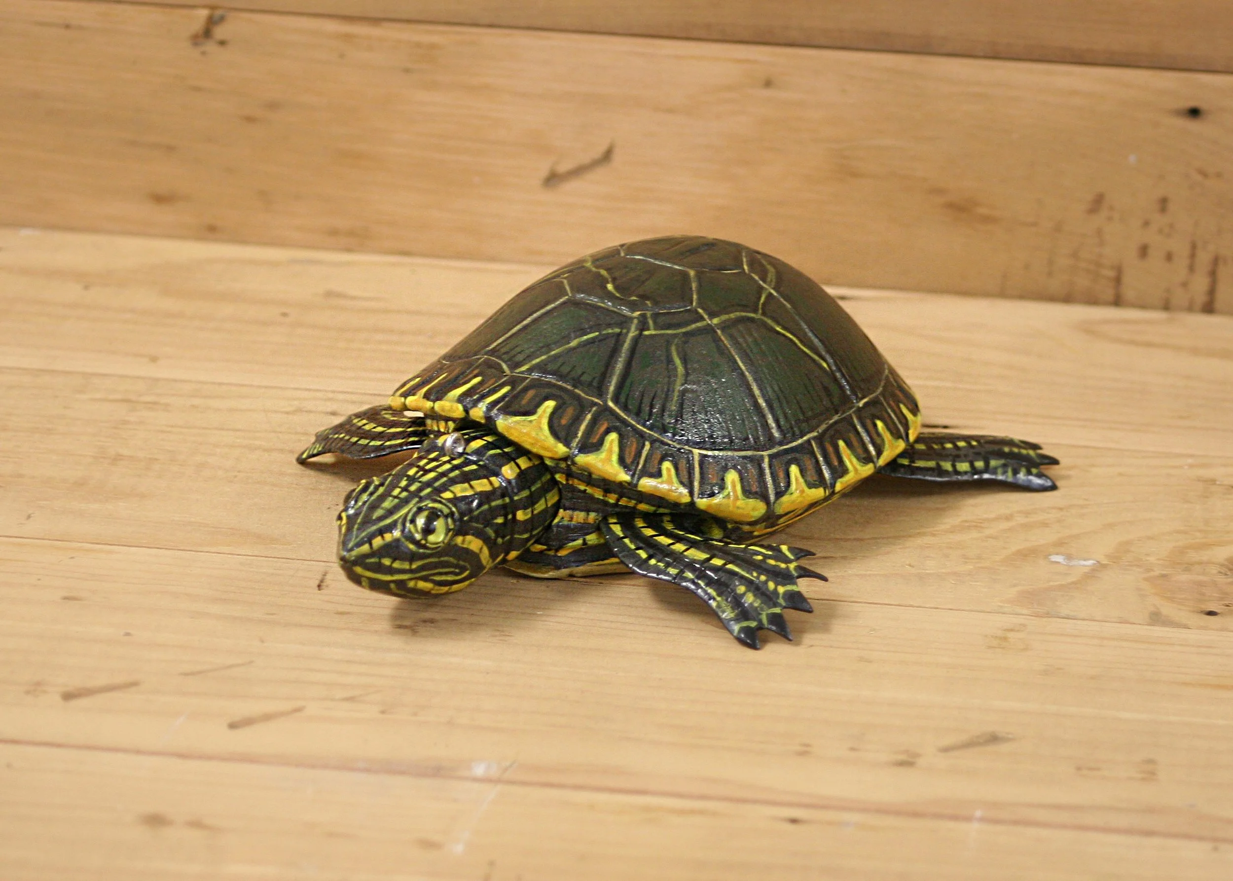 8" Turtle by Dean Steffen