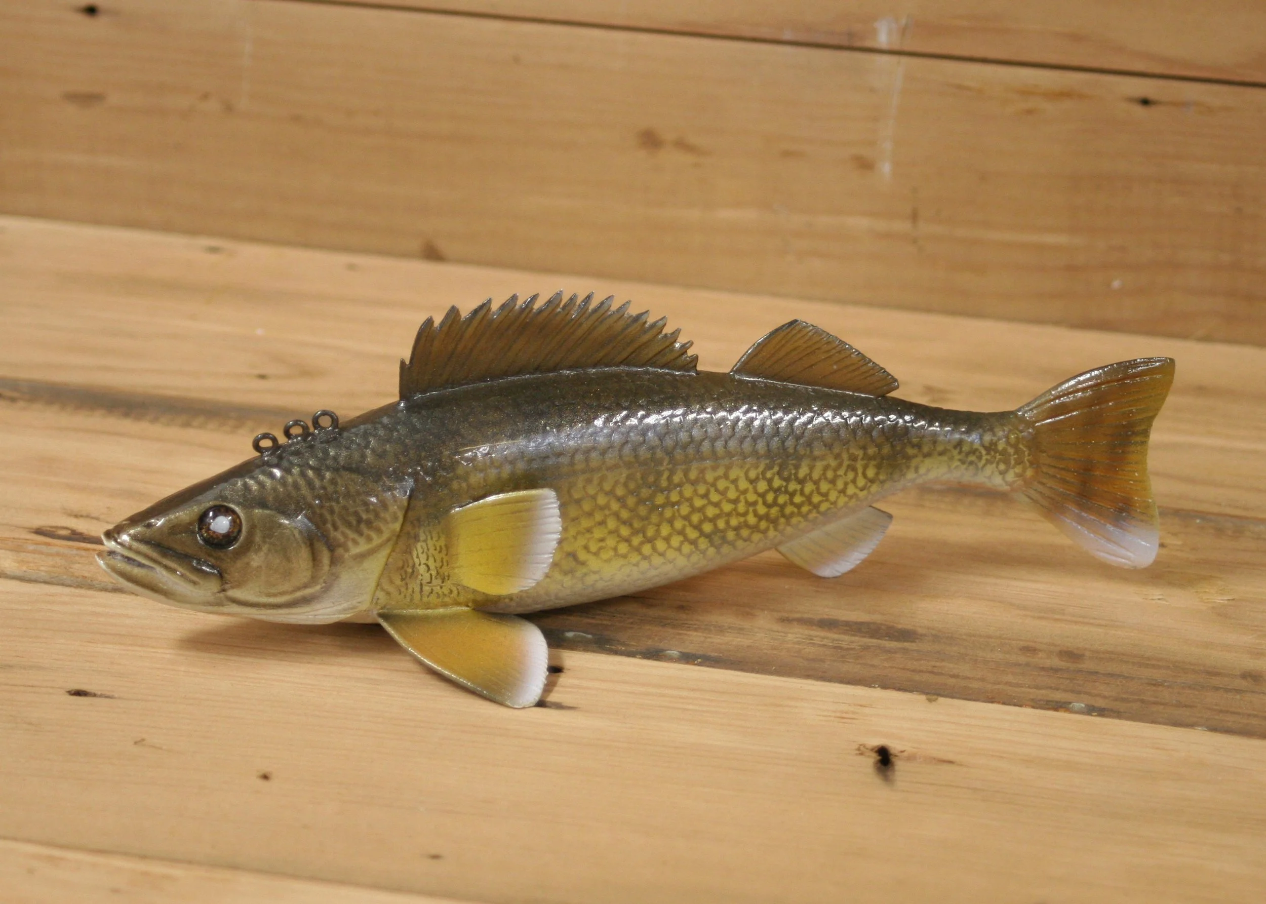 8" Walleye by Gary Hull