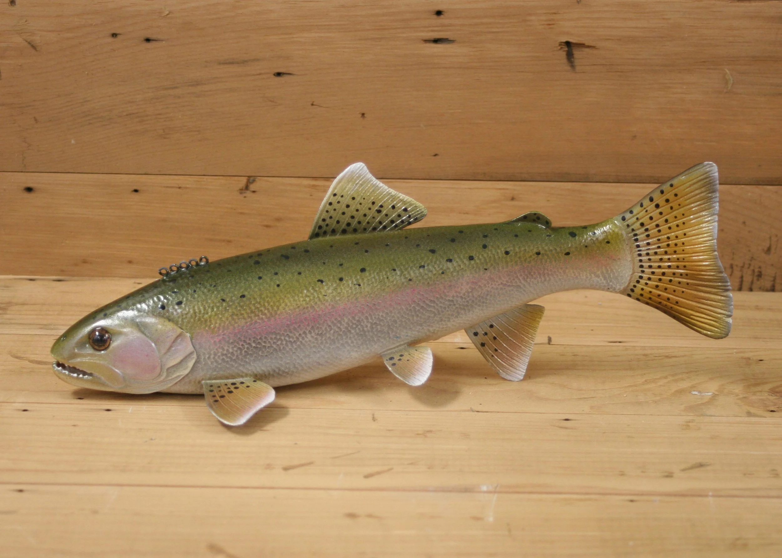 13" Airbrush Rainbow Trout by Gary Hull