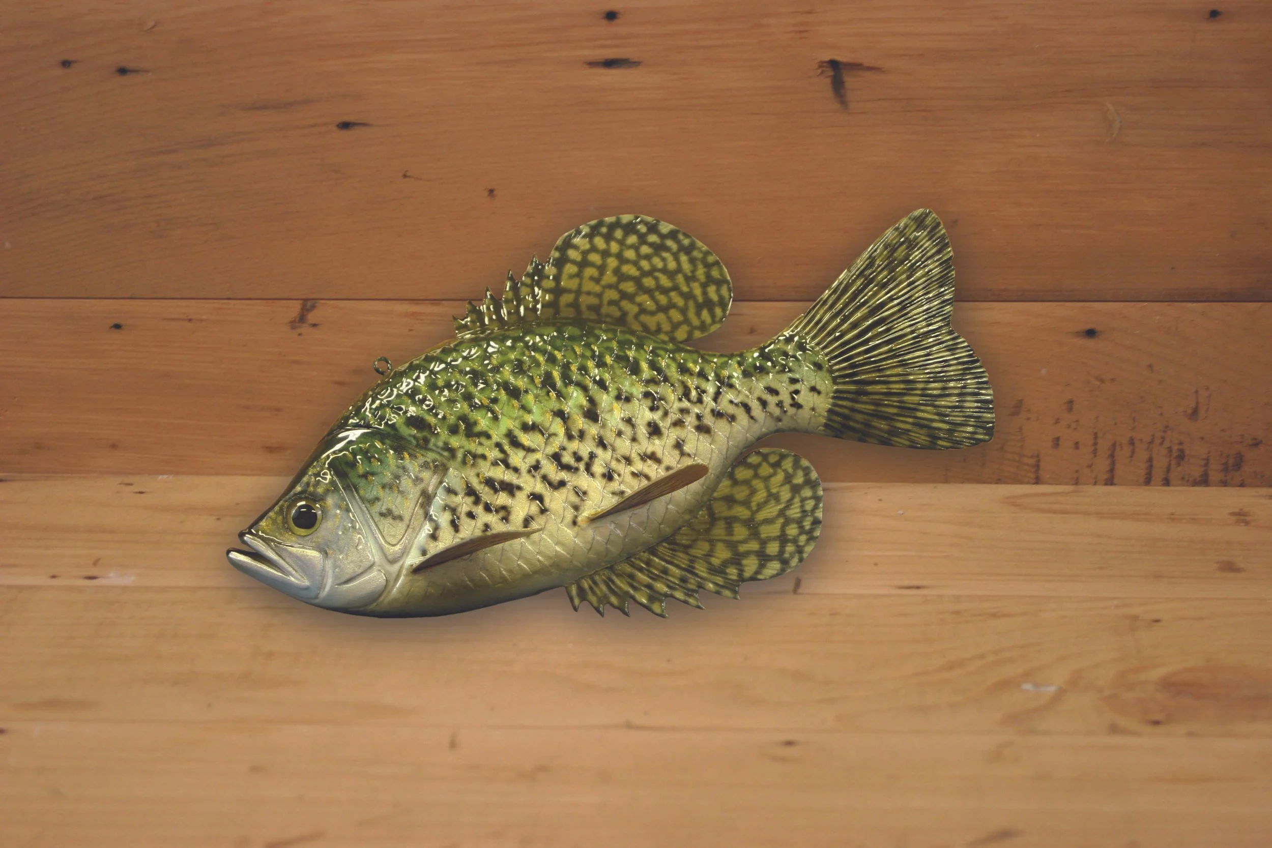 9" Crappie by Harley Ragan