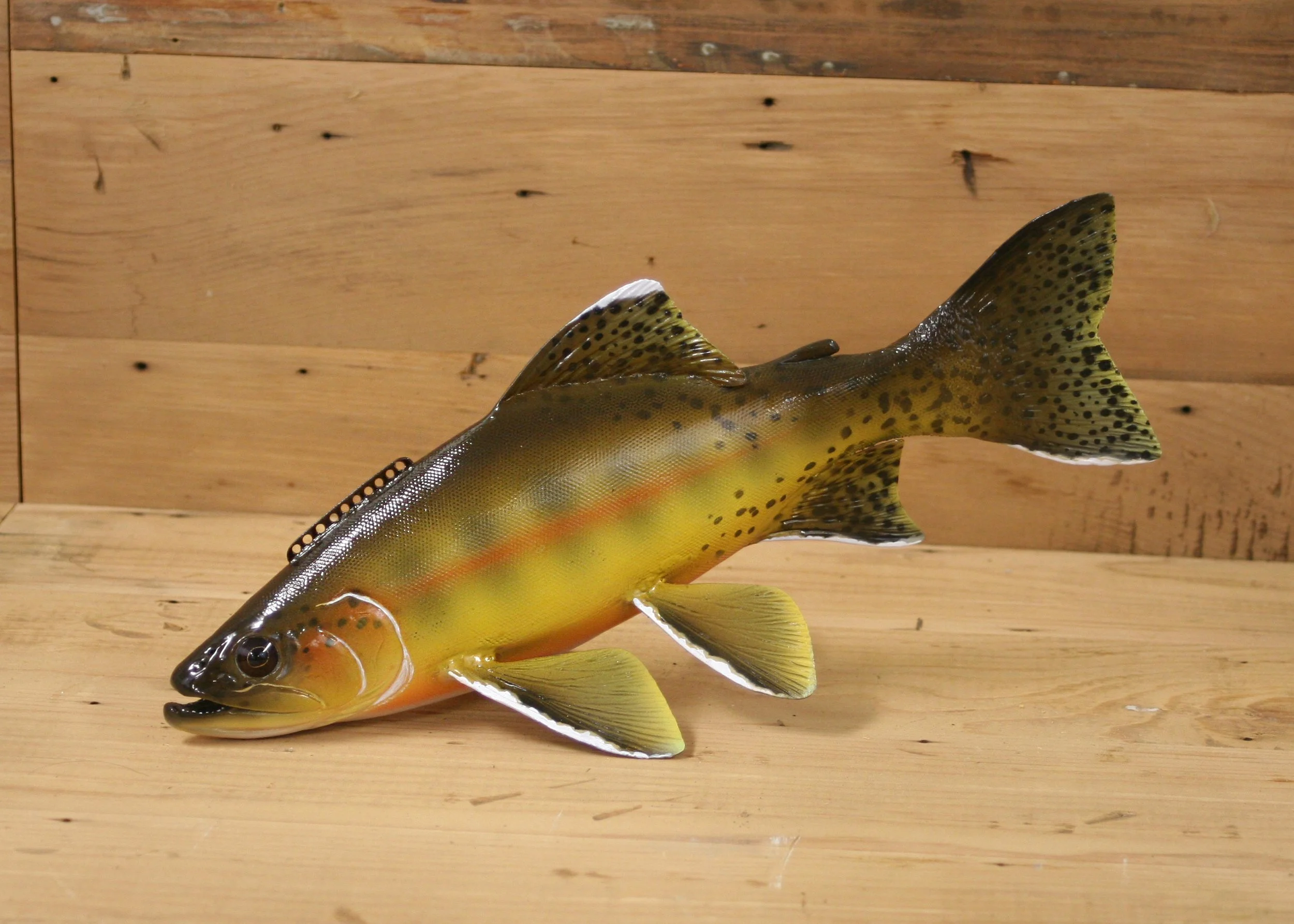 12" Airbrush Golden Trout by Harley Ragan