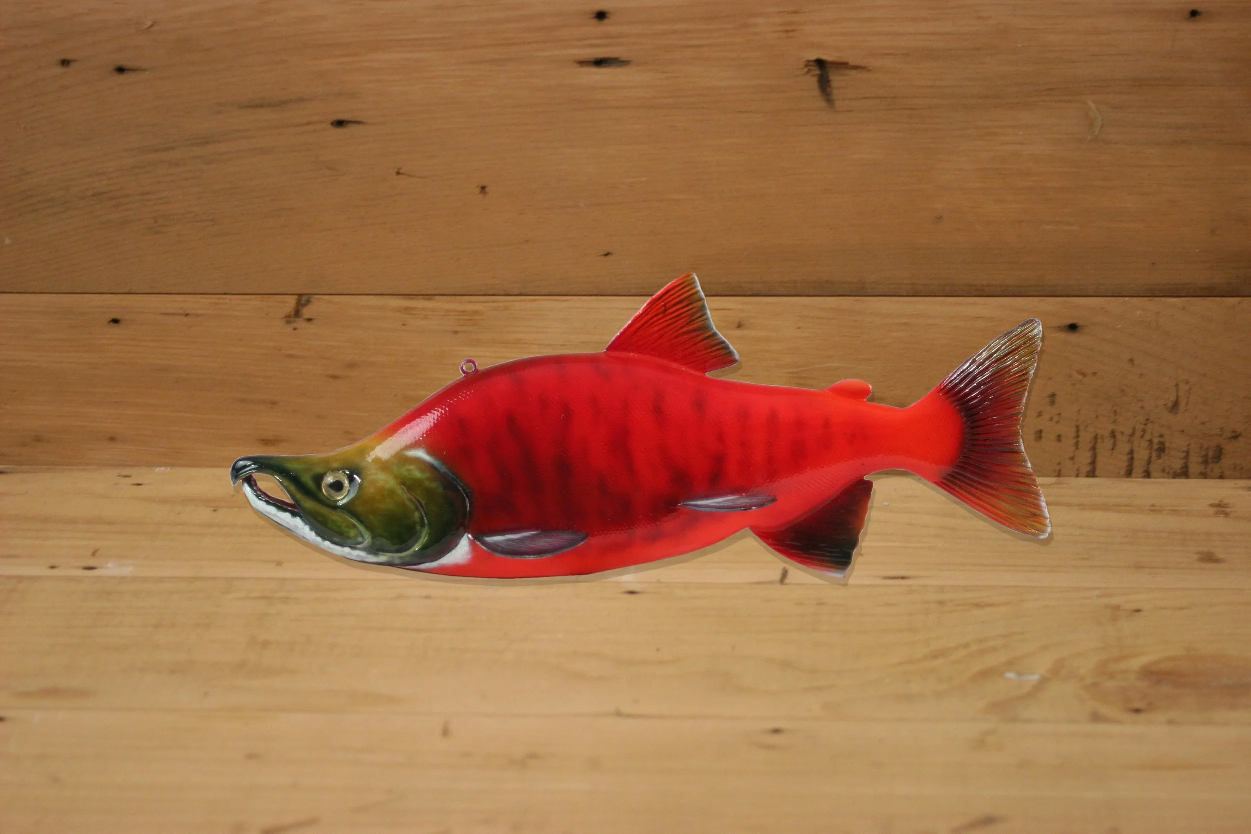 9" Breeding Male Sockeye Salmon by Harley Ragan
