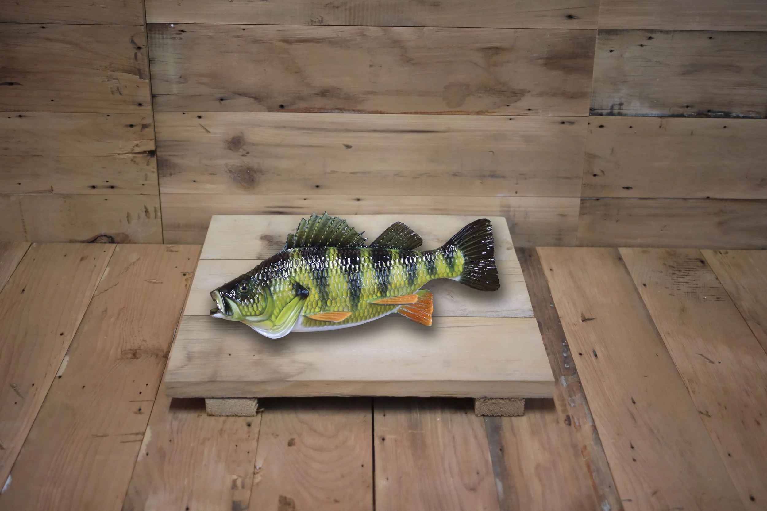 10" Perch by Harley Ragan
