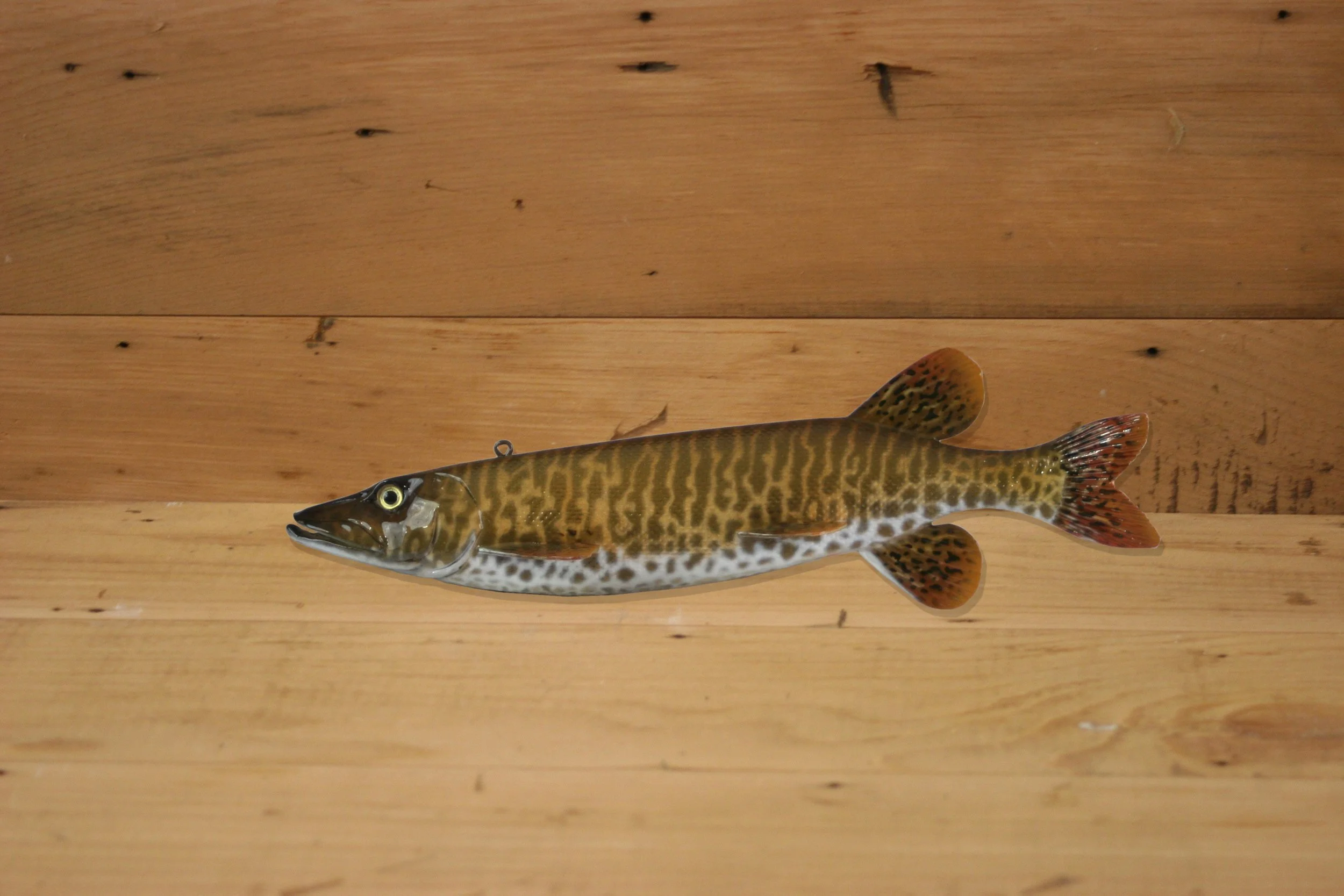 9" Barred Muskie by Harley Ragan