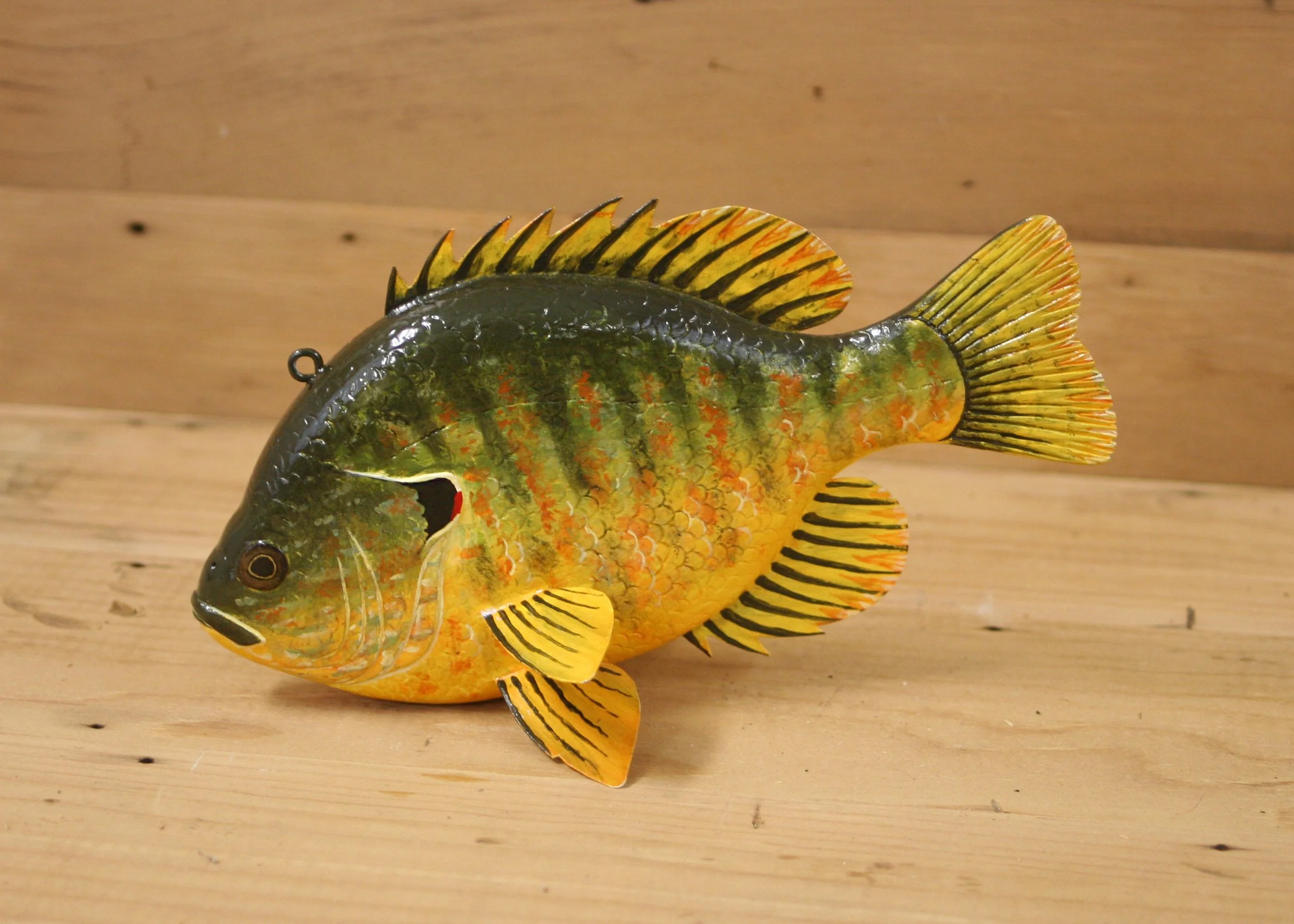8" Pumpkin Seed Sunfish Jr. Division by Jacob Sazama