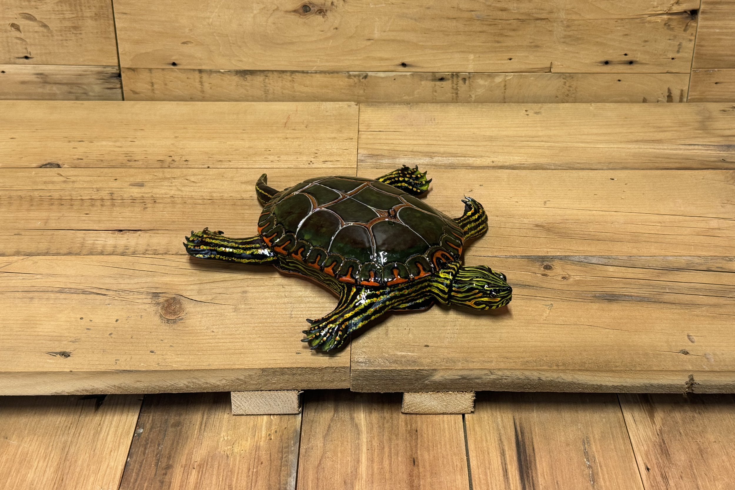 10" Turtle by Brian Miller