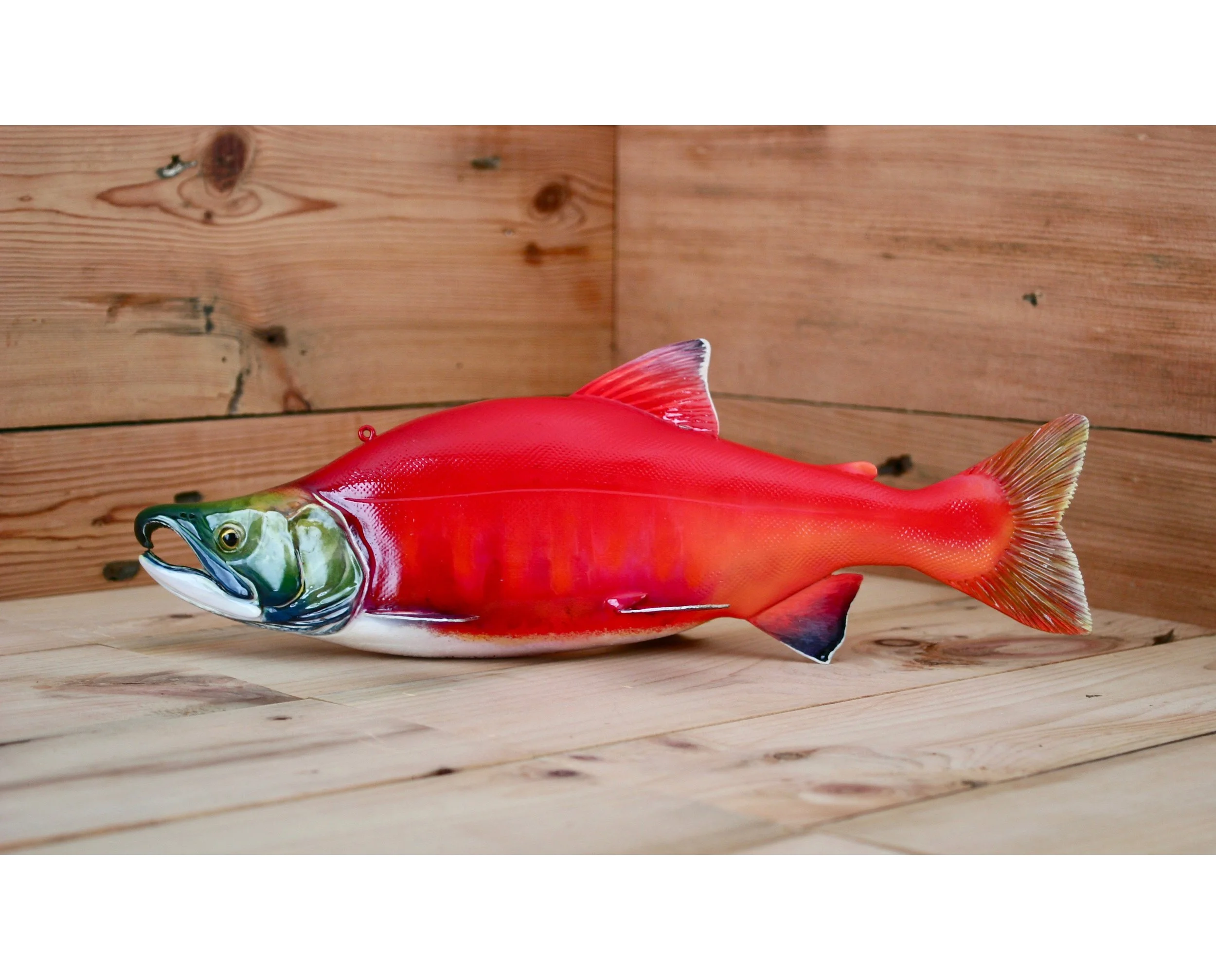 13" Breeding Male Sockeye Salmon by Harley Ragan