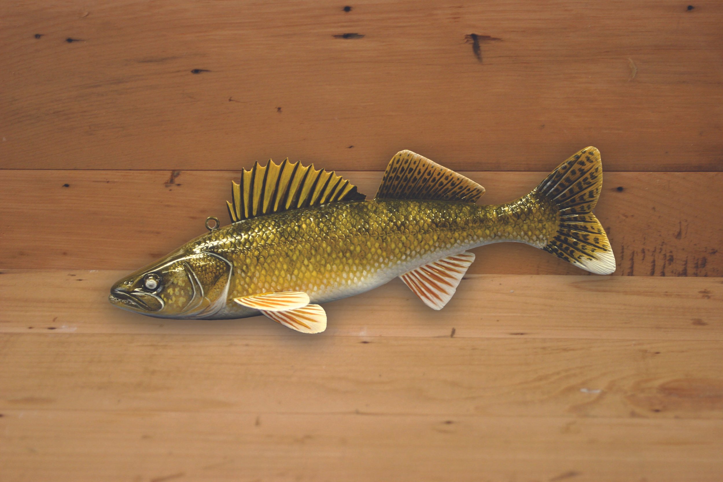 9" Hand Painted Walleye by Jacob Sazama