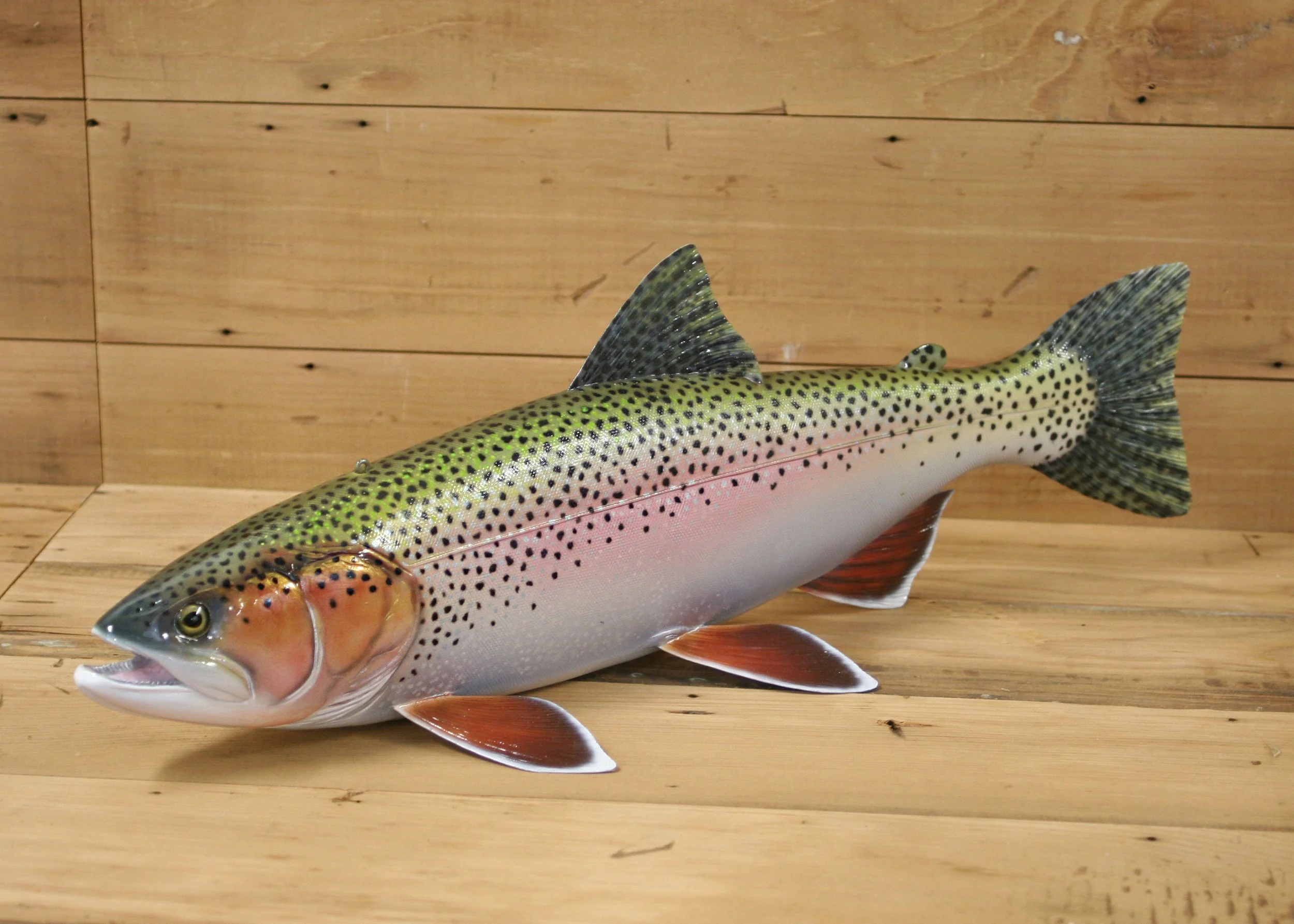 18" Airbrush Rainbow Trout by Harley Ragan
