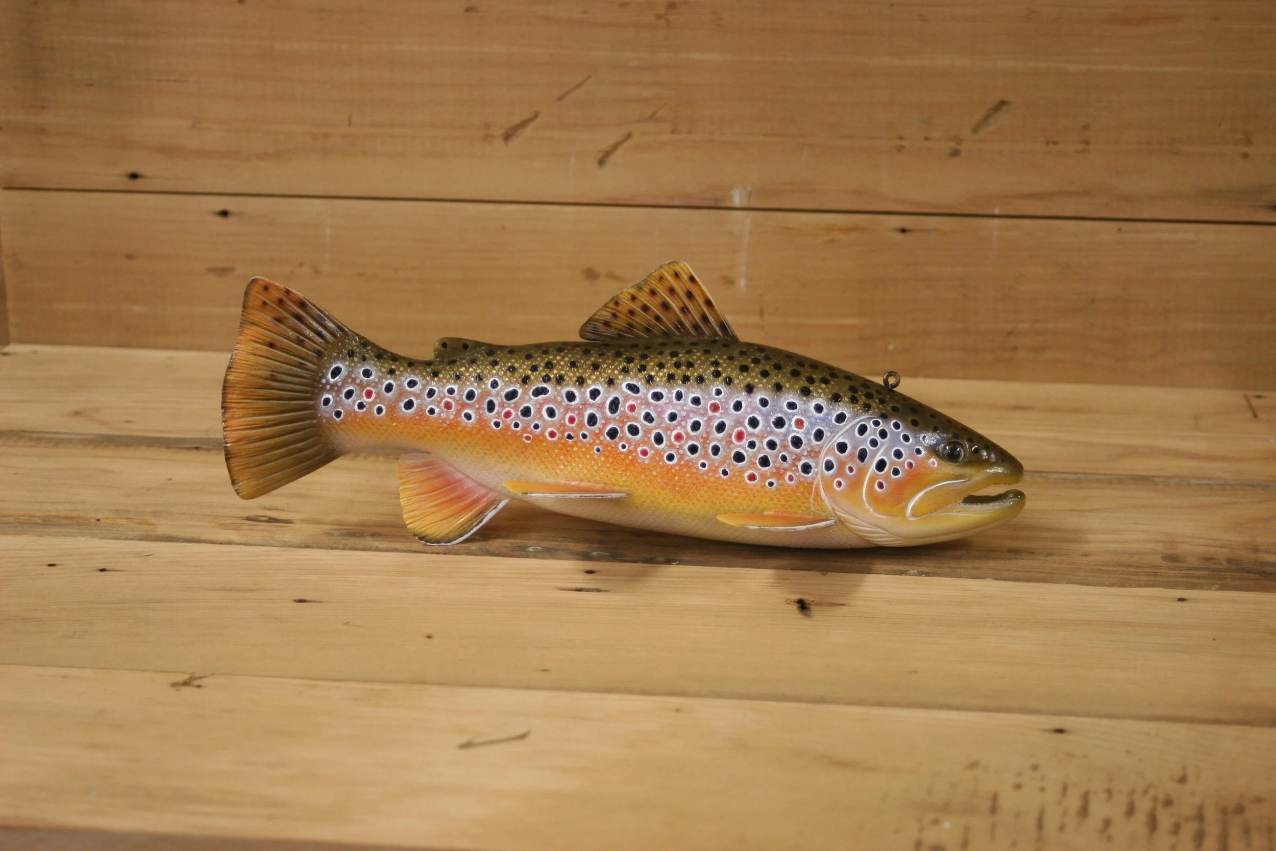 2nd place: 10" Brown Trout by Kerry Wolgast