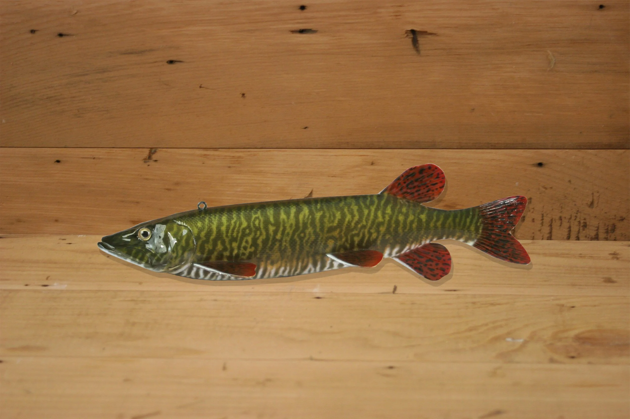 9" Airbrush Tiger Muskie by Harley Ragan