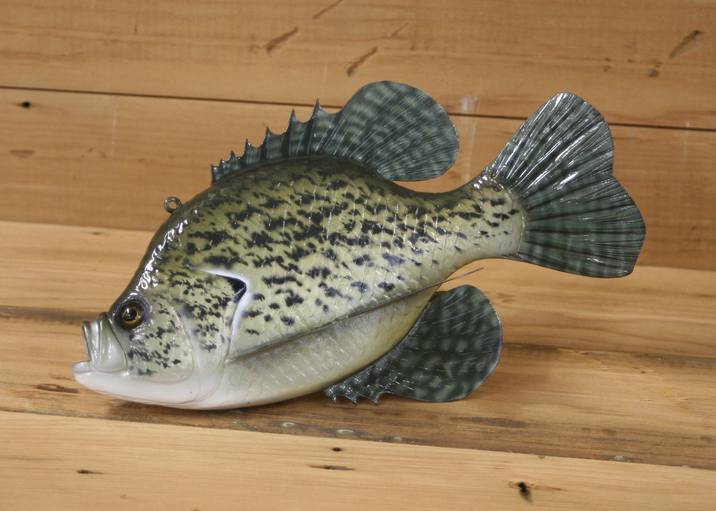 9" Airbrush Crappie by Harley Ragan