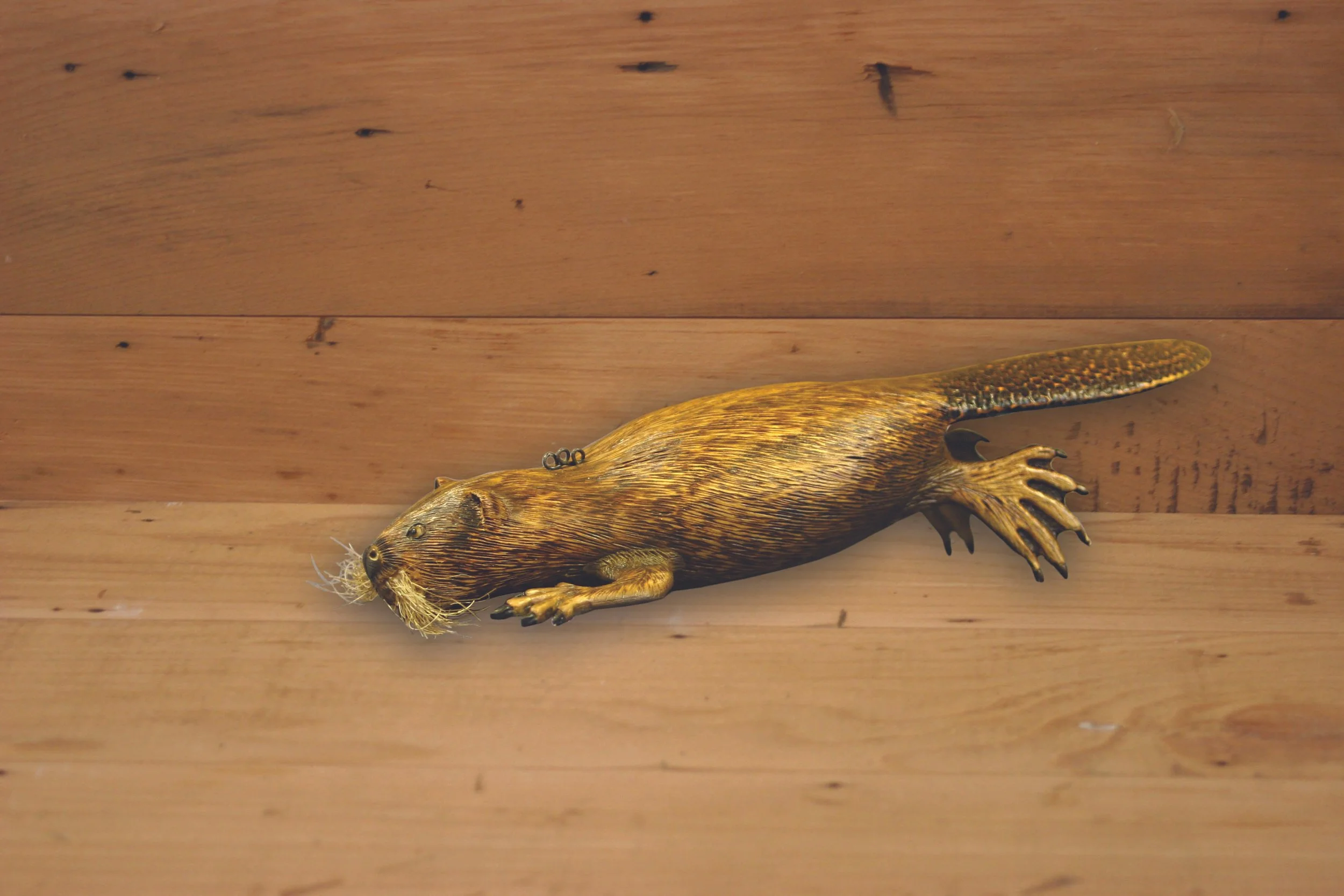 10" Beaver by Troy Helget