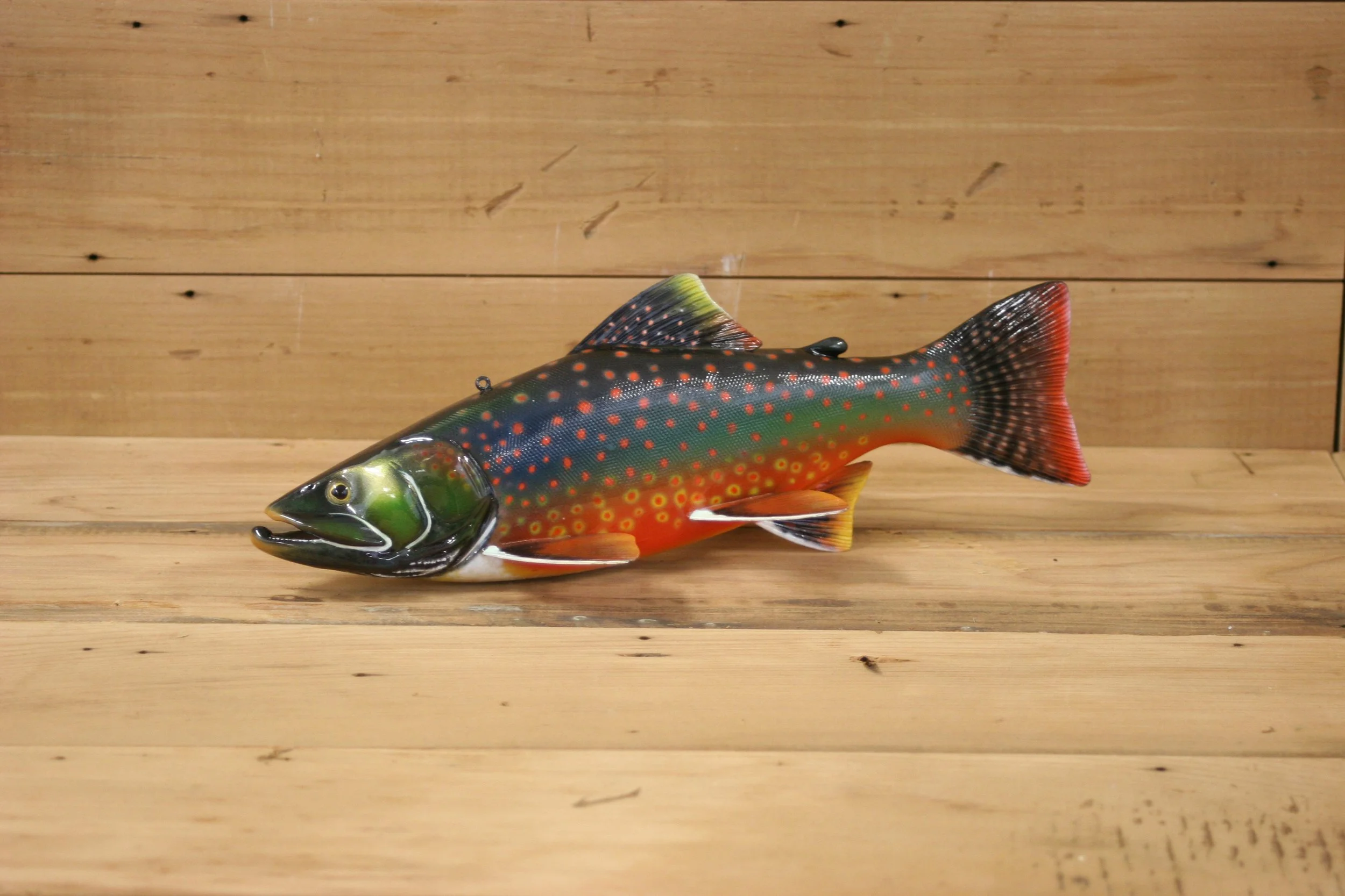 11" Arctic Char by Harley Ragan
